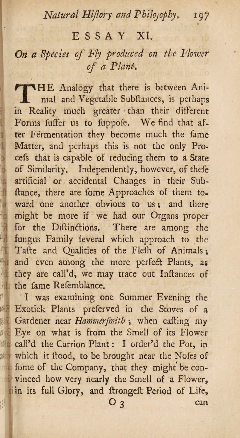 * ESSAY XL On a Species of Fly produced on the Flower of a Plant* t ' THE Analogy that there is between Ani¬ mal and Vegetable Subfiances, is perhaps in Reality much greater than their different Forms fuffer us to fuppofe. We find that af¬ ter Fermentation they become much the fame Matter, and perhaps this is not the only Pro- cefs that is capable of reducing them to a State of Similarity. Independently, however, of thefe artificial ’ or accidental Changes in their Sub- ftance, there are fome Approaches of them to¬ ward one another obvious to us; and there might be more if we had our Organs proper for the Diflindlions. There are among the fungus Family feveral which approach to the Tafte and Qualities of the Flefh of Animals; and even among the more perfedt Plants, as they are call’d, we may trace out Inflances of the fame Refemblance. I was examining one Summer Evening the Exotick Plants preferved in the Stoves of a Gardener near Hammerfmith \ when calling my Eye on what is from the Smell of its Flower call’d the Carrion Plant: I order’d the Pot, in which it flood, to be brought near the Nofes of fome of the Company, that they might be con¬ vinced how very nearly the Smell of a Flower, . in its full Glory, and ftrongeft Period of Life, O 3 can