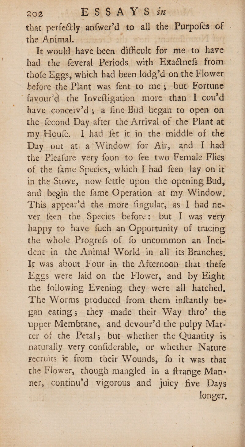 that perfe£tly anfwer’d to all the Purpofes of the Animal. It would have been difficult for me to have had the feveral Periods with Exadtnefs from thofe Eggs, which had been lodg’d on the Flower before the Plant was fent to me •, but Fortune favour'd the Inveftigation more than I cou’d have conceiv’d •, a fine Bud began to open on the fecond Day after the Arrival of the Plant at my Houle. I had fet it in the middle of the Day out at a Window for Air, and I had the Pleafure very foon to fee two Female Flies of the lame Species, which I had feen lay on it in the Stove, now fettle upon the opening Bud, and begin the fame Operation at my Window. This appear’d the more fingular, as I had ne¬ ver feen the Species before: but I was very happy to have luch an Opportunity of tracing the whole Progrefs of fo uncommon an Inci¬ dent in the Animal World in all its Branches. It was about Four in the Afternoon that thefe Eggs were laid on the Flower, and by Eight the following Evening they were all hatched. The Worms produced from them inflantly be¬ gan eating; they made their Way thro’ the upper Membrane, and devour’d the pulpy Mat¬ ter of the Petal; but whether the Quantity is naturally very confiderable, or whether Nature recruits k from their Wounds, fo it was that the Flower, though mangled in a ftrange Man¬ ner, continu’d vigorous and juicy five Days longer.