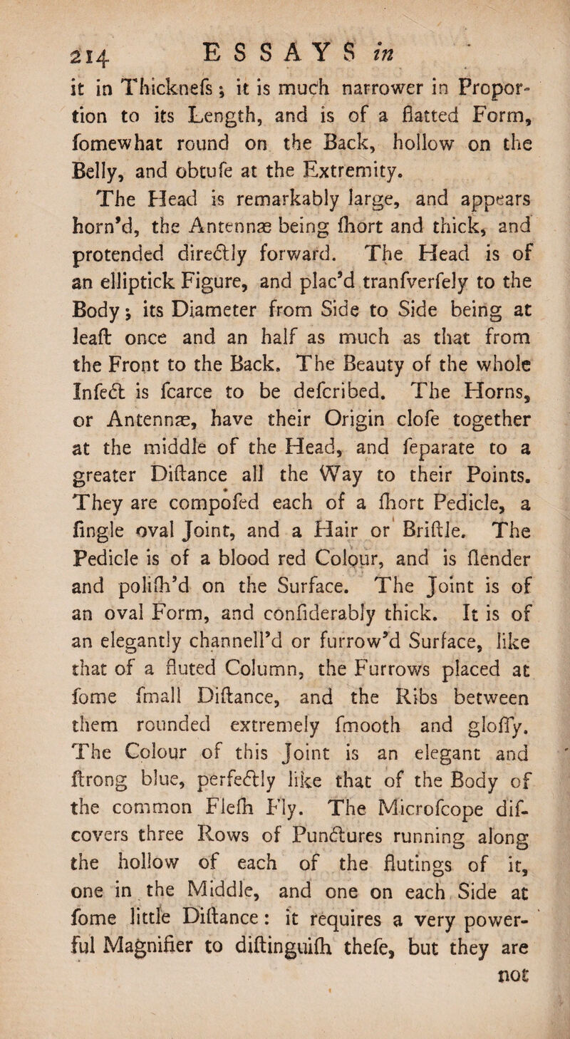 it in Tliicknefs *, it is much narrower in Propor¬ tion to its Length, and is of a flatted Form, fomewhat round on the Back, hollow on the Belly, and obtufe at the Extremity. The Head is remarkably large, and appears horn’d, the Antennas being fhort and thick, and protended dire&ly forward. The Head is of an elliptick Figure, and plac’d tranfverfely to the Body; its Diameter from Side to Side being at leaffc once and an half as much as that from the Front to the Back. The Beauty of the whole Infe£t is fcarce to be defcribed. The Horns, or Antennas, have their Origin clofe together at the middle of the Head, and feparate to a greater Diftance all the Way to their Points. They are compofed each of a fhort Pedicle, a Angle oval Joint, and a Hair or Bridle. The Pedicle is of a blood red Colour, and is flender and polifli’d on the Surface. The Joint is of an oval Form, and confiderably thick. It is of an elegantly channell’d or furrow’d Surface, like that of a fluted Column, the Furrows placed at fume fmall Diflance, and the Ribs between them rounded extremely fmooth and glofly. The Colour of this Joint is an elegant and flrong blue, perfectly like that of the Body of the common Flefh Fly. The Microfcope dis¬ covers three Rows of Pun£tures running along the hollow of each of the flutings of it, one in the Middle, and one on each Side at fome little Diftance: it requires a very power¬ ful Magnifier to diftinguifh thefe, but they are not