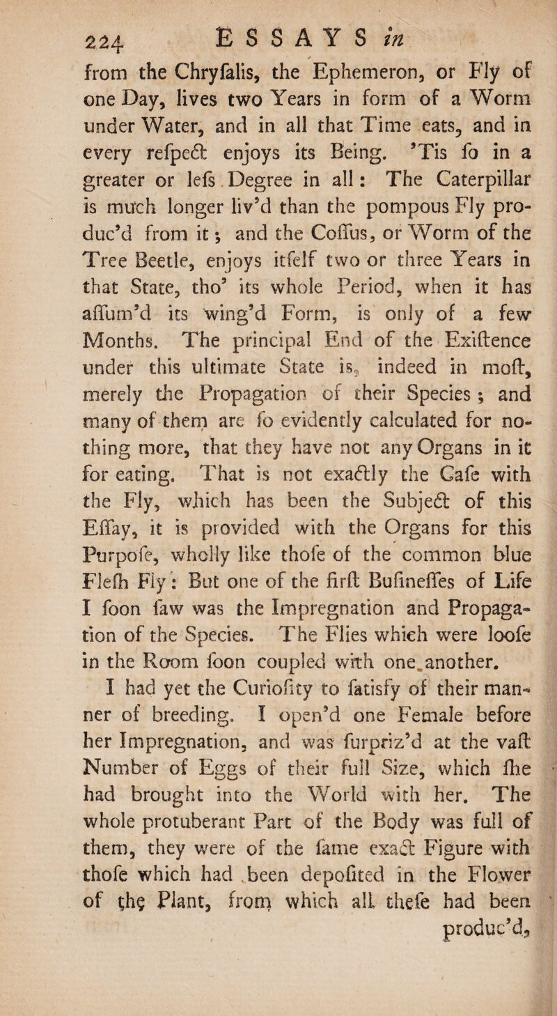 j from the Chryfalis, the Ephemeron, or Fly of one Day, lives two Years in form of a Worm under Water, and in all that Time eats3 and in every refpedt enjoys its Being. ’Tis fo in a greater or lefs Degree in all: The Caterpillar is much longer liv5d than the pompous Fly pro¬ duc’d from it y and the CofTus, or Worm of the Tree Beetle, enjoys itfelf two or three Years in that State, tho’ its whole Period, when it has affum’d its wing’d Form, is only of a few Months. The principal End of the Exigence under this ultimate State is3 indeed in mod, merely die Propagation of their Species ; and many of them are fo evidently calculated for no¬ thing more, that they have not any Organs in it for eating. That is not exadlly the Cafe with the Fly, which has been the Subjedl of this Effay, it is provided with the Organs for this Purpofe, wholly like thofe of the common blue Flefh Fly: But one of the firft Bufinefies of Life I foon law was the Impregnation and Propaga¬ tion of the Species. The Flies which were loofe in the Room foon coupled with one„another. I had yet the Cnriofity to fatisfy of their man¬ ner of breeding. I open’d one Female before her Impregnation, and was furpriz’d at the vafl Number of Eggs of their full Size, which fhe had brought into the World with her. The whole protuberant Part of the Body was full of them, they were of the fame exad Figure with thofe which had been depofited in the Flower of th$ Plant, from which all thefe had been produc’d.