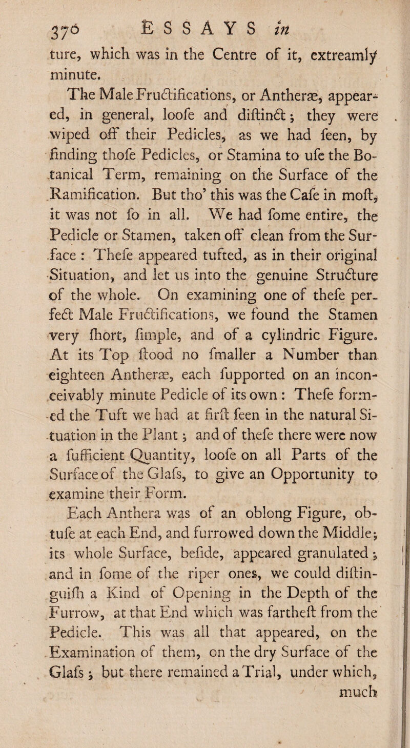 ture, which was in the Centre of it, extreamly minute. The Male Fr unifications, or Anthene, appear¬ ed, in general, loofe and diftindt; they were wiped off their Pedicles, as we had feen, by finding thofe Pedicles, or Stamina to ufe the Bo¬ tanical Term, remaining on the Surface of the Ramification. But tho’ this was the Cafe in moft, it was not fo in all. We had fome entire, the Pedicle or Stamen, taken off clean from the Sur¬ face : Thefe appeared tufted, as in their original Situation, and let us into the genuine Strudture of the whole. On examining one of thefe per. fedt Male Fructifications, we found the Stamen very fhort, fimple, and of a cylindric Figure. At its Top Food no fmaller a Number than eighteen Antherm, each fupported on an incon¬ ceivably minute Pedicle of its own : Thefe form¬ ed the Tuft we had at firil feen in the natural Si¬ tuation in the Plant; and of thefe there were now a fufficient Quantity, loofe on all Parts of the Surface of the Glafs, to give an Opportunity to examine their Form. Each Anthera was of an oblong Figure, ob- tufe at each End, and furrowed down the Middle; its whole Surface, befide, appeared granulated; and in fome of the riper ones, we could diftin- guifii a Kind of Opening in the Depth of the Furrow, at that End which was fartheft from the Pedicle. This was all that appeared, on the Examination of them, on the dry Surface of the Glafs ; but there remained a Trial, under which, ^ much