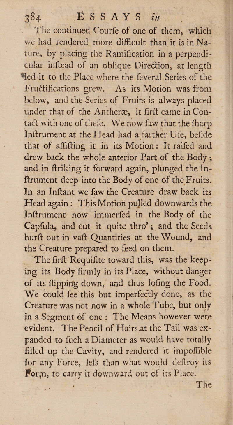 The continued Courfe of one of them, which we had rendered more difficult than it is in Na¬ ture, by placing the Ramification in a perpendi¬ cular inftead of an oblique Dire&ion, at length Ted it to the Place where the feveral Series of the Fructifications grew. As its Motion was from below, and the Series of Fruits is always placed under that, of the Antherse, it firft came in Con¬ tact with one of thefe. We now faw that the ffiarp Inftrument at the Head had a farther Ufe, befide that of affifting it in its Motion: It raifed and drew back the whole anterior Part of the Body; and in ftriking it forward again, plunged the In¬ ftrument deep into the Body of one of the Fruits. In an Inftant we faw the Creature draw back its Head again : This Motion pujled downwards the Inftrument now immerfed in the Body of the Capfula, and cut it quite thro*; and the Seeds burft out in vaft Quantities at the Wound, and the Creature prepared to feed on them. The firft Requifite toward this, was the keep¬ ing its Body firmly in its Place, without danger of its flipping down, and thus lofing the Food. We could fee this but jmperfeClly done, as the Creature was not now in a whole Tube, but only in a Segment of one : The Means however were evident. The Pencil of Hairs-at the Tail was ex¬ panded to fuch a Diameter as would have totally filled up the Cavity, and rendered it impoffible for any Force, lefs than what would deftroy its Forqi, to carry it downward out of its Place. The