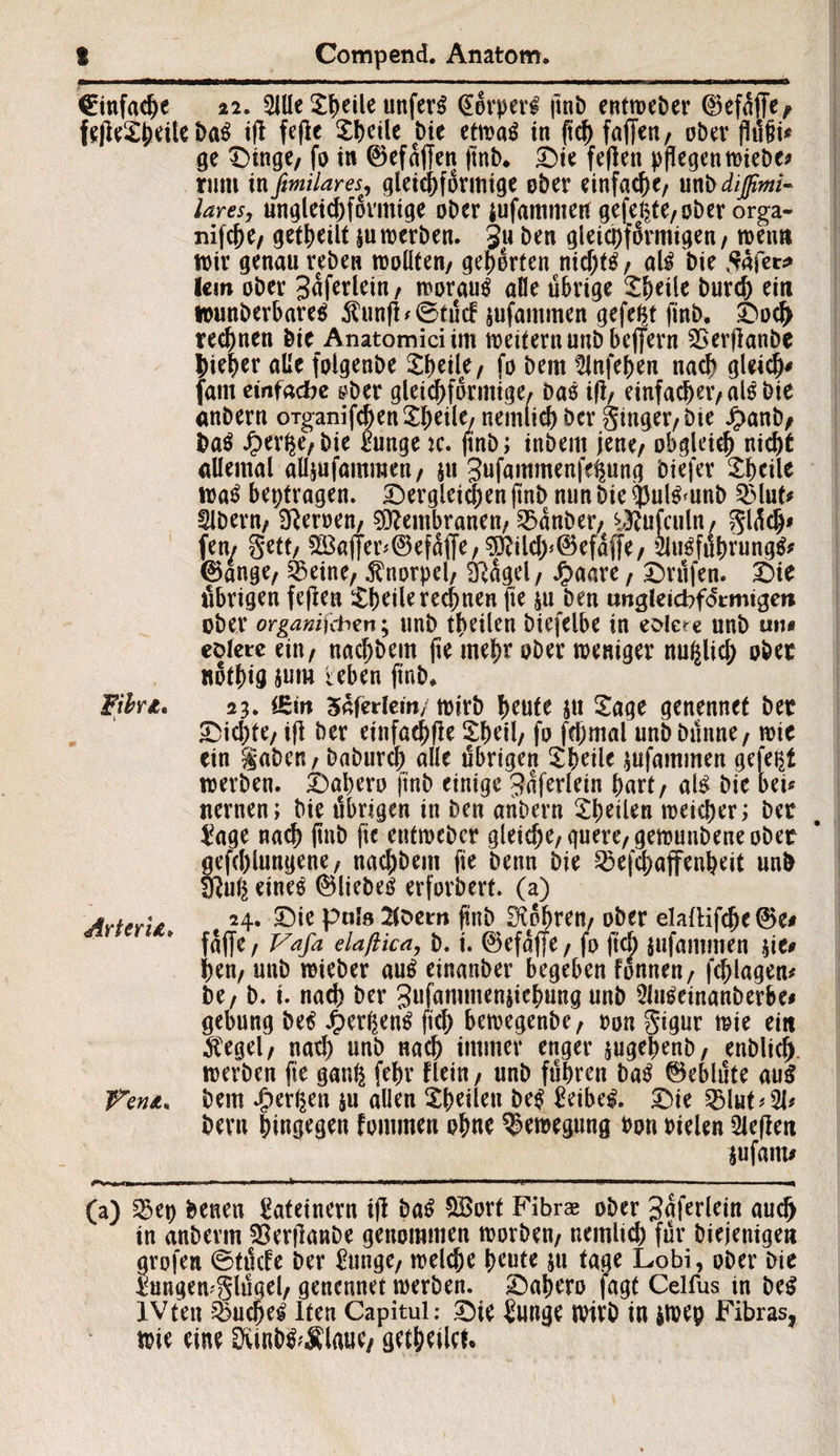 einfache 22. 21Ue Sheile unfern @orperf ftnD entweber ©efaffe* feffeSheite ba$ ifl fefle Sheile Die etwa$ in fleh fafT^«/ ober ge dinge, fo in ®ef affen flnb. die feflen pflegen Wiebe# rum infimilares, gleichförmige ober einfache/ mbdifimi- lares, ungleichförmige oDer jufammetf gefegte/ ober orga- nifefle, geteilt su rner&en. 3« ben gleichförmigen, wenn wir genau reben wollten, gehörten nichts, a\ß bie Safer* lern ober Saferlein / woraus alle übrige ^^eile burd) ein wunberbares $unfl *0tücF jufammen gefegt finb. doch rechnen bie Anatomici im weitern unbbeffern 3$erflanbe hiebet alle folgenbe Sfleile, fo bem ^Jnfepen nach gleich# (am einfache yber gleichförmige/ baS ifl, einfad)er,alSbie anbern oTganifcbenSheile, nemlich ber ginget/ bie Jpanb/ baS J£>erfce,bie Junge je. flnb; inbeitt jene/ obgleich nicht allemal alljufammen, ju gufammenfegung biefer Sheile waS betragen. dergleichen flnb nun bie ^ulSrnnb 5Mut* Slbern, Heroen, Membranen/ 53anber, ^Rufculn, glüdj# fern gett/ S35af|er#@efäffe/ $)?ild>©efaffe, SJuSfübrungS* ®ange, 53eine, Knorpel/ SRagel, Jpaare / drüfen. die übrigen feffen Sheile rechnen fle ju ben ungleicbfotmigen ober orgamfrfien; unb theilen biefelbe in eolete unb un# colere ein, nachbem fle mehr ober weniger nu^lid; ober «othig 5um Üben flnb. Fibri* 23. i£in 5aferlein/ wirb heute ju Sage genennet ber did;te, ifl ber einfachfle Sheil, fo febmal unb banne/ wie ein gaben / baburd) alle übrigen Sheile jufammen gefegt werben, dahero flnb einige Jaferlein hart, aB bie bei# nernen; bie übrigen in ben anbern Sheilen weicher; ber Jage nach flnb fle entweber gleiche/ quere, gewunbene ober gefdffungene, nachbem fle beim bie ^efchaffenheit unb S}uß eines ®licbes erfordert, (a) 24. die puls 2tc*etrt flnb bohren/ ober elaftifdje ®e# faffe / Vafa elaßica, b. i. ®efaffe, fo fleh jufammen fle# hen/ unb wieber auS einanber begeben Fonnen, fragen* be / b. i. nad) ber gufammenjiehung unb 2luSeinanberbe# gebung beS #erhenS fld) bewegenbe/ oon gigur wie eilt Segel/ nach unb nach immer enger jugepenb, enblid). werben fle ganfe feflr Flein / unb führen baS ©eblüte aus Venn* bem .(perlen ju allen Sfleileu beS JeibeS. die 531 ut*2J* bevn hingegen fommen ohne Bewegung Pon rielen Siefleit jufanu .tnrnrnmr; ■—»•rnrnm^m tmvmb ' ■> i I ■■ «tmmmnm ■■■■ ^^' ' ■ i 1 11 ' <' ■ —■■■ ■»■'1 (a) £>ep benen Lateinern ifl baS SBort Fibrae ober gaferlein auch in anberm 33erffanbe genommen worben/ nemlid) für Diejenige« grofen 0tücFe ber ^unge/ welche heute jn tage Lobi, ober bie Jungemglügel, genennet werben, dahero jagt Celfus in beS IVten Ruches Iten Capitul; die Junge wirb in jwep Fibras, wie eine 3vinbS?$laue, geredet*
