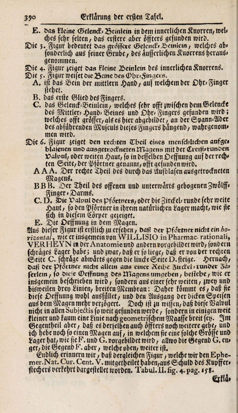 E. bas Hlcmc (Belend* Bcmiew in bem innerlichen Knorren/weh cbeS fcbr feiten, baS cvflere aber bffterS gefunden wirb. ©ie 3. gigur bedeutet Das gtdffere (Seiend* ©emlem / welches ab* fonberlicb aus feiner ©rube/ beS^uffcrlicben^uorrenSbcrauS* genommen. ©ie 4. gigur geiget öas Hlcme 23ein!em beS innerlicben$norrenS. ©ie f. gtgur weifet öie Beme Des (P^r^mgeie. A* i|l baS 23etn Der mittlern J£)anb/auf meinem Der £>br*Sto0ee (lebet B. baS erde ©lieb beS gingerS. C. baS ©elencf^einlein/ welches febr offf iwifcben bem ©elende beS Mittler« J£>anb> deines unb £)br* gingerS gefunben wirb; weld)eS oft grSffer/alSeSbierabgebilbet/ an ber0pann*2lbet beS abfubrenben9Jtufculs btefesgingetbangenb/ wabrgenom# men wirb. ©ie d. gigur jeiget fce» rechte» Cbeil eines men(dblicben aufgei blafene» unö aasgetrodrneten tBagens mit bev <£retfhtunDeti X>abul/ ober weiten Jpaut, fo in beffelben ©effnung auf berrecb* ten 0eite/ber Pförtner genannt/offt gefunben wirb* A A A* ©er rechte Xbeil beS burcb baS ^ufblafenauSgetrocfnetea 1 Wagens* BBB. ©er Sbeil beS offenen unb unterwärts gebogenen 3wolff* ginger >©armS. C. D. £>ie PaloalDes pfdrtners/ obev bie 3ird eh runbe febv wette Jpaut/ foben^f6rtnerinibremnatdrlicben£agermacbt/Wie |le fiel) in biefem Körper gejeiget. E. ©ie £)effnung in bem 0iftagen. 2luS biefer gigur i(l erfllid) $u erfeben / fcaf? t>er pfdrtner nidkt ein ho¬ rizontal, wie er itlSgenteinoon W1LLISIO inPharmac- rationali, VERHEYN ift ber Anatomie unb anbernoorgebilbetwirb/fonbeni 1 fcbrageS £ager habe; unb $war/ bah er fo liege/ bah er »on ber rechten 1 0ctte C. febröge abwärts gegen bie linde 0eiteD. (leige, hernach/ *>a$ ^er pfdrtner mebt allem aas einer 2<eibe 5trctel * rtwDer 5a* ferlem/ fo Oiefe (Deffmmg Des fcHagens umgeben / beliebe / Wie et insgemein betrieben wirb t fonbern aus einer febr weiten / jwep unb bisweilen bret) Linien/ breiten^embran: ©aber fommf es / bah fte fctefe £>effnung wobl auSfullet/ unb ben SluSgang berbic!en0petfeti ! aus bem ^fragen mehr oer^ogerf. ©oeb i}l ju wifjen/ bah biefe £>aU>ul tiidjt in allen Subje&is fo weit gefunben werbe f fonbern in einigen weit I fleiner unb taum eine Einie nach geometrifebem SSftaaffe breit fet>- 3m 0egentbeil aber/ bah eSberjelbenaucb offferS noeb weitere aebe/ unb 1 id) b^benoeb fo einen fragen auf/ in welchem fte eine folcbr©roffe unb 1 iager bat/ wie fie F. unb G. oorgebilbet wirb / aüwo bie ©egenb G* en* get/ bie ©egenb F. aber, welche oben/ weiter ifl* 0ublicb erinnern wir, bah bergletdjen gigur, weldje wir ben Ephe- mer.Nat. Cur. Cent. V.mitgetbeilef baben/auS 0^ulb beS$upffer* flecberSPer!ebrt bavgeflellet worben* Tabui. II. fig. 4. pag* if g. Stfla*