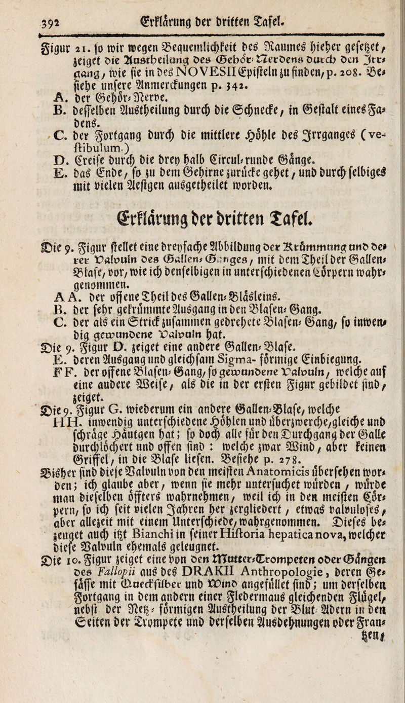 gigur 21. |o trir wegen 2>equemlicbfeit Des Raumes fneber gefegt/ geiget Die 2tti8tbeilartct Des (Bebot* tleröenft öutd> Den Jtt* ctang/ wie fte inbeSNOVESII(EpifMniufmben/p. 208. t&u ftebe «nfere 2!nmercfungen p. 342« A. Der ©ebör#^erne. B. Deffelbeu 21uStl)eilung burd) Die ©cjjnecfe/ in ©ejMt einelga* D r n$. C. Der gorfgang burd) Die mittlere Jpöble DeS3rr9flWS (ve- flibulum.) D. (greife burd) Die Drei) halb (£ircul#runbe ©dnge. E. DaS (Enbe, fo ju Dem ©ebirne$urucfe gebet / unbburcbfelbige^ mit Dielen hefigen auSgetbeilet worDem (SrHärung Der Dritten tafef. Oie 9. gigur (feilet eine brepfadje SlbbilDung Der Ktömmmict tmfc De# *ee'ttafotsln Des (Ballen# (Banges, mit Dem Der ©allem ^stafe, m, wie id) Denfelbigen in unterfebiebenen £örpern Wabe* genommen. AA. Der offene SbeilbeS ©allen# fBldSleiuS. B. Der febr gefrtimmte 2luSgang in Den Olafen* ©ang. C. Der als ein ©trief jufamnten gebrebete Olafen# ©ang/ fo inmen# Dig gemtmöcne Paipaln bat. Oie 9. gigur D. geiget eine anbere ©allen# 23lafe. E. Deren QluSgang tmD gleicbfam Sigma- förmige (Einbiegung. FF. Der offene Olafen# ©ang/ fogewanDerTePalpuln/ freiere auf eine auDere ^Bcife / als Die in Der erffeu gigur gebilDet finD/ geiget. Oie 9. gigur G. mieberuitt ein anDere ©allem^lafe/ meldje HH. inwenbig unterfd)ieDene JpöblenunDilber^merd)e/glei^eunD febrage J^dutgen bat; fo Do^ alle für Den Ourcbgang Der ©alle Durchlöchert unb offen finD : me!d)e poar 2öinb/ aber feinen ©riffel/ in Die £5lafe liefen. 55eftebe p. 278. U3iSbev finD Dieje SBalouln Don Den meiflen Anatomicis uberfeben wor* Den; icb glaube aber, wenn fte mehr unterfuebet tourben , mtiröe man biefelben öffterS roabrnebmeu/ weil id) in Den meiffen Qör* pern, fo id) feit »ielen 3at)ren ber ^erglteberf, efroa^ raltntlofeS, aber allezeit mit einem Unterfd)iebe,wabrgen0mmem OiefeS be* zeuget auch i^t Bianchiin feiner Hifloria hepatica nova, weichet Diefe Palmin ehemals geleugnet. Oie 10. gigur zeiget eine Don öen fl?mter#£rompetenober©(fngeit Des Fallopii auS DeS DRAKH Anthropologie, Deren ©e* fdffe mit c&aecffilbet unb ttPmD angefuiiet ftttD; um Derfelben govtgaug in DemanDern einer gleberntauS gleicbenDen gltjgel/ nebft Der 3Rct$# förmigen ÜluStbeilung Der Sßlut 2lbern in Den ©eite« Der trompete unb Derfelber&uSDebnungenobergran* |e«i