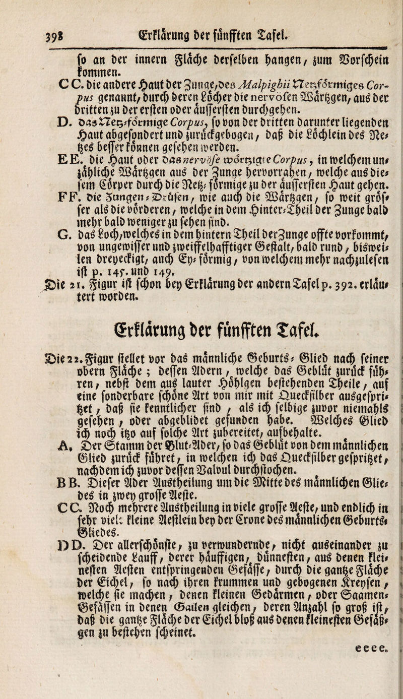 39* QerFlarnng Der ftinfffen 2afel. fo an t)cv innern gliche Derfelben fangen/ $um SBorfchein rammen. C C. Die anDere J£>auf Der Junae/Deg Malpighii H^mfonittges Cor- pus genannt/ Durch Deren Locher Die nervöfen SBirggen, aug Der Dritten ju Der erffen aDer aufferff en Durchgehen. D. öas£Iet5*fomtic$c Corpus, fa Dan Der Dritten Darunter ÜegenDen J^autabgefonbertunDpirucFgebogen, Dafi Die£ochleinDeg 3?e* Jeg bcfferFoimen gefehentNrben. E E. Die JrDaut ober üaenervöfe \vQtp,\pt Corpus, intoelchemun# $öar(|gen aug Der Junge heroorrahen/ roelche au^Die# fern (Körper Durch Die förmige ju Der aufferffeu £aut geben. FF. Die Stmgen * 2*töjeit, rcie auch Die £Bar^gen, fo roeit graf» fer alg Die Derberen, toelche in Dem .£>inter*£beil Der Junge balD mehr balD weniger $u fehen finD. G. Da6 £och/toelcheg in Dem ^intern £heil berjunge affte Dorfammf/ »an ungeroiffer unb jroeiffelhafftiger ©effalt/balD runD/ bigrcei* len Dreaecügt/ auch <£p*f8rmig/ Dan welchem mehr nach$ulefen iff p. Hf.tinD 149. jDie 2u gigur iff fe&on bep^rFlarungber anbern£afelp. 392.crla«^ tert roorDen. Qrflintng bcc fünfften tafel. ^ie22.§tgur (Feilet bar Dag männliche ©eburtg* ©lieb nach feiner obern gliche; Deffen Slbern, toelche Dag ©eblut junlcF fuh* ren / nebff Dem aug lauter fähigen beffehenben Sheile / auf eine fonDerbare fdhotte Slrt Don mir mit £)uecFfilber auggefpri* %ti / bafi fie Fenntlicher finb / <*l$ ich felbige juDor niemahlS gefehen / aDer abgeblibet gefunben habe. ^ßeldjeg ©lieb ich nadj i^o auf folche SlrUubereitet; aufbehalte. A, «Der ©tamm Der ©lut<2lber,fo Dag ©ebliltoon Dem männlichen ©lieb jurüdF fahret/ in welchen id) Dag£)uecFfilbergefpri£et/ na^Demich juDor DeffenSMoul bnrchffachen. BB. Diefer Slber Slugtheitung «mDie SFittebeg männlichen ©lie* beg in jtaepgrofferiefle. C G. Sßach mehrere Slugtbeilung in Diele graffe ^fefle, unD enblich in fehr t>ielc Fleine 2Jeffleinbepber(Eronebegmännlichen©eburfg« ©liebeg. DD. £)er öllerfd)8nffe/ jh oeriounbernbe/ nicht augeinanber $u 1 fcheibenbe tfauff/ Derer bäuffigen,t bänneffen/ aug Denen Flei* j neffen Sleffen entfpringenDen ©efaffe; Durch Die gan^e gliche Der (Eichel 1 fa nach ihren Ftummen unb gebogenen $repfen / \ welche fie machen f Denen Fleinen ©ebarmeu/ aber0aamen? ©efiffen in Denen (Sailen gleichen/ Deren Slnjahl fo grafi iff/ Dafi Die ganfte gliche Der (Eichel blofi aug Denen fleineffen ©efifi* 1 gen |u beffchen [feinet. e e e e« ,