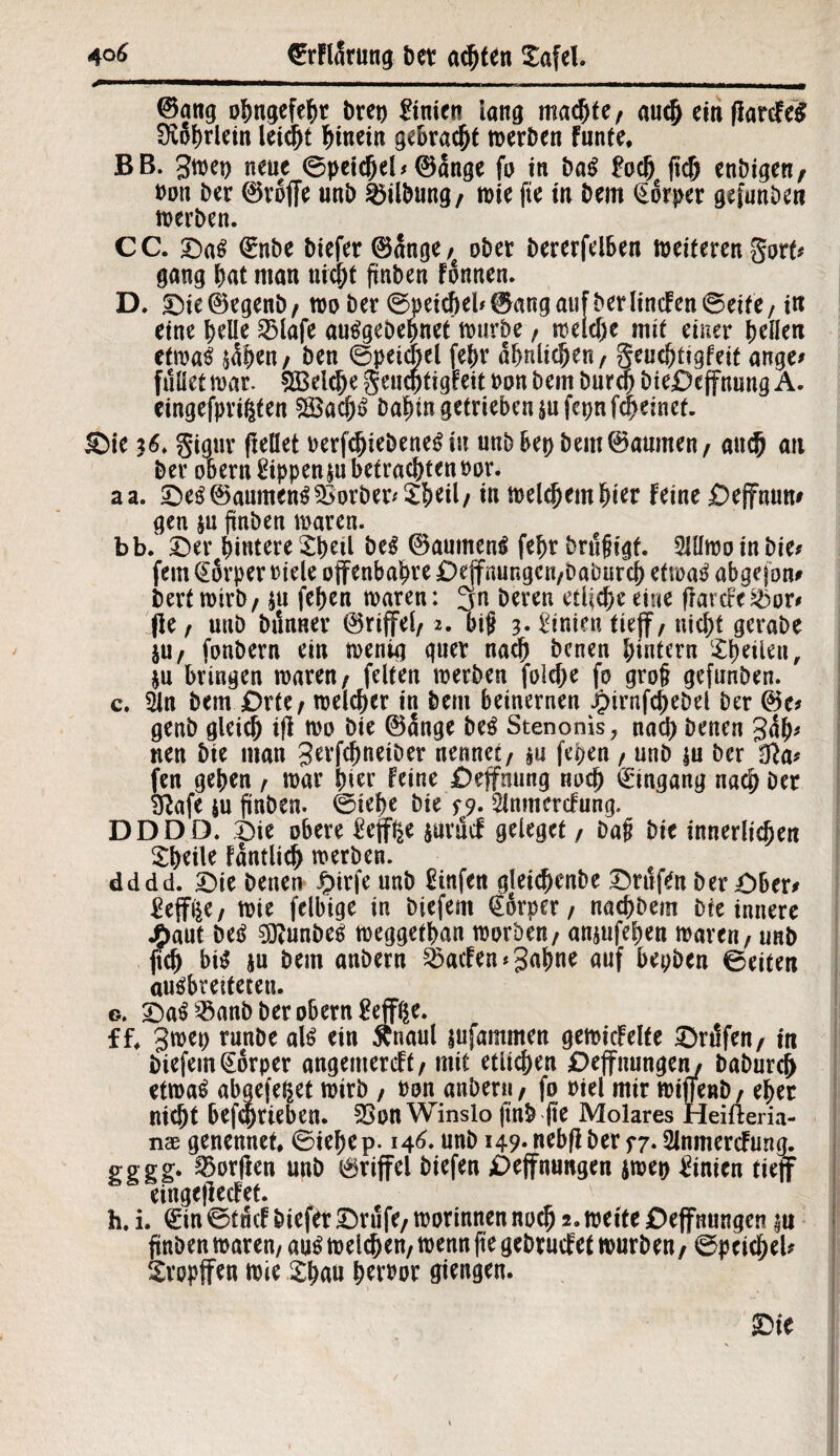 @ang opngefept bret) Linien iang maepte, auep ein ffarcfeS f)v6f>rietn leidet pinein gebracht werben funte. BB. 3wep neue ©peicpel* 0ange fo in baS £ocp fiep enDigen, butt ber ©roffe unb Gilbung, wie fte tu bem Körper gefunden werben. CC. ©aS ©nbe biefer 0ange,e ober Dererfeiben weiteren gort* gang bat man nixpt ftnben fbnnen. D. ©ie©egenb, wo ber ©petcpel* ©angauf ber linefen ©eite, ttt eine pelle SMafe auSgebepnet würbe , welcpe mit einer pellen etwas $5pen/ ben ©peicPel fepr apnltcpen, geueptigfeit ange* füllet war. S33elcpe geueptigfeit Pon bem burep DteDeffnung A. eingefprißfen $£acpS bapin getrieben jufepnfepeinet. Söie iS. gignr (teilet oerfcpiebeneS in unbbe0bem0aumen, anep an ber obern Rippen ju befrachten Por. aa. ©es ©aurnenS Korber* Speil, in welcpempier feine ©effnun* gen $u ftnben waren. bb. ©er pintere £petl Des ©aumenS fepr bntfigf. 5iüwo in Die* fern (Eorper rtele ojfenbapre ©effnungen,baburd; etwas abgejon/ berf wirb, $u fepen waren: 3n bereu etliche eine fktcfe&or* fle , unb bttnner ©rijfel, 2. big 3. Linien tieff, nicht gerabe ju, fonbern ein wenig quer naep benen pintern Speilett, $u bringen waren/ feiten werben foiepe fo grof gefunden. c. 2ln bem ©rte, welcpcr in bem beinernen ibirnfcpebel ber ©e* genb gleich iff wo Die ©ange beS Stenonis, naep benen gap* neu bte man gerfepneiber nennet/ m fepen / unb m ber 0?a* fen gepen , war pier feine ©effmmg noep ©ingang naep Der Sftafe ju ftnben. ©tepe Die $*9. Slnmercfung. DDDD. ©ie obere £efff2e juruef geleget / Dag öte innerlichen Speile fantlicp werben. dddd. ©ie benen Jjpirfe unb £infen gleiepcnbe ©rufen ber ©ber/ £eff$e, wie felbige in biefem ©orper, naepbem Die innere J5>aut beS gftunbeS weggetpan worben / anjufepen waren, unb ftcp# bis ju Dem anbern 23acfen*3apne auf bepben ©eiten auSbreifetetu g. ©aS $anb ber obern £eff$e. ff* 3wet> runbe als ein Änaul infammen gewicfelfe ©rtSfen, in inefem@6rper angemereft/ mit etlichen ©effnungen, baburep etwas abgefeßet wirb / Pon anbern/ fo Piel mir wifTenb, eper nicht befeptteben. 23on Winslo jtnb fte Molares Heifteria- nae genennet, ©iepep. 146. unb 149. nebfl Der 57. Slnmercfung. gggg. Worden unb ©riffel biefen ©effnungen $wep hinten tieff eingejieefet. h. i. ©in ©tfief biefer ©rufe, wortnnen noep 2» wette ©effnnngen |u ftnben waren, aus welcpen, wenn fte gebruefet würben/ ©pciepeU tropfen wie £pau petwor giengen. ©ie