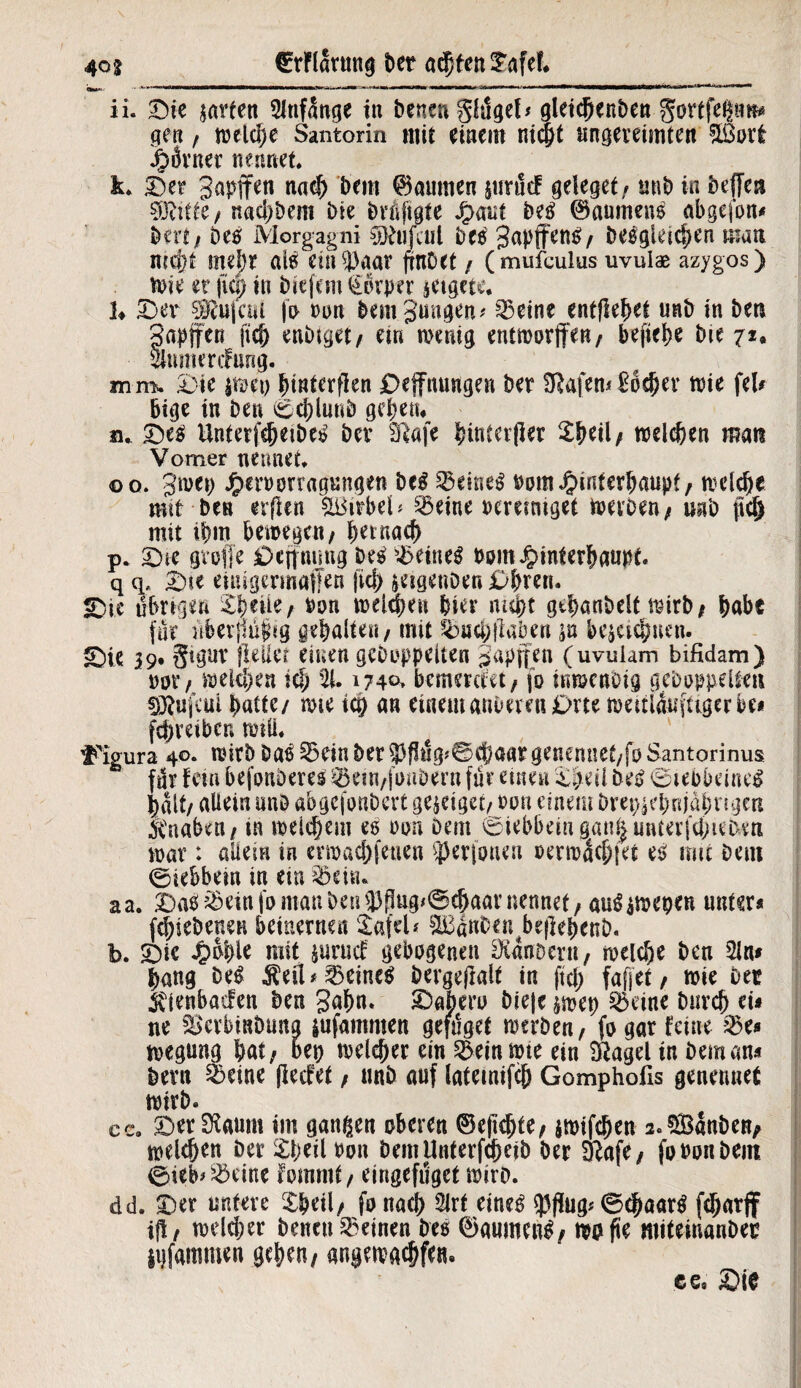 4<n (ErFldrung t>er achten £afef. ii. Die garten Anfänge in Denen ghigel* gleicbenben gortfehtm* gen, weld)e Santorin mit einem nicht ungereimten &öor£ J£)drner nennet к. Der gapffen na*D Dem ©aumen prücf geleget / mib in heften %Mttf naebbem Die Drüftafe Haut M ©aurneno abgefon# Der!/ Des Morgagni Söftifeul Dee gapffenS/ Dergleichen man mcf)t mehr als ein^aar ftnDet / (mufculus uvulae azygos) wie er \xü) in biefem€$rper jetgete. U De9Ru|ciil fo non Demgungen* Seine entfielet unb in Den Saufen ftc& enbiget/ ein wenig entmorften/ befiebe Die 71, Sumeräfimg. mm. Die pwp |interfien £>efttuiugen Der fRafcn^ Ebener wie fei# bige in Den 6d)lnnD geben* n. De$ UnterfebeiDei) Der B^afe hinterher £beü/ welchen man Vomer nennet 00. gwep Heroorragungen bc£ Seinem oom Hinterhaupt/ welche mit Den elften &Birbet Seine oeresmget werben / unb jtd) mit ihm bewegen/ bemach p. Die gvoffe £>cjtmmg Des Seines Dom Hinterhaupt. q q* D*e euugermaffen jicl> pigenDen £>bren. Die übrigen ibene, Don welken hier nicht gtbanbclt wirb; habt für libevjiüßig gebalten / mit Sucbllaben p bezeichnen. Die 39. §igur (Met einen geDoppeiten gapjfen (uvulam bifidam) ooi’/ welchen ich 2t 1740. bemmeet/ fo inwenoig gcDoppelteu s)Jpfcui batte/ wie ich an einemauiwu£>rte meitl&tqttgerbe* fd)veibcr, wtü. f^igura 40. wirb DaS Sein Der $ßüg*©chaargenennet/fo Santorinus für fein befonöeres Sein/foubern für einen D)eil Des Dieobeiuel bdlt/ allein unD abgefonDert gepiget/ t>on einem Drepiebnjabngen Knaben / in welchem es oon Dem 0iebbemgan§uMerj’djimm war: allein in evwacbfetien ‘^erpnen oermdcbiet es mit Dem 0iebbem in ein Sein* аа. DaS Sein fo mau Den 93f1ug<@cbaav nennet / unter« fd;iebenen beinernen Xafeb &ßdttfcen beflebenD. b. Die Huble mit pruef gebogenen BcanDeni/ welche Den 2ln« bang Des $eiU Seines Dergeflalt in ftd; faftet/ wie Der $ienbacfen Den gab«* Daberu Dieje pjep Seine Durch ei« ne Scrbinbuna pfammen gefüget werDen, fo gar feine Se« wegung bat/ bet) welcher ein Sein wie ein SRagel in Dem an« Dem Seine flecfet / unD auf latemifcb Gomphofis genennet wirb. cc„ Der^aum im ganzen oberen ©ejidjte/ jwifeben a.Sdnben, welchen Der SheiUon bent Unterleib Der fKafe / fo Don Dein 0ieb> Seine fomnit/ eingefüget wirD. dd. Der untere Xbeil/ fonad) 2Jrt eines $ßug* 0cbaarS febarjf if!/ weldjer Denen deinen Deo ©aumenS/ woße mitemanDec pfammen gehen/ «ngewaebfett cs* Die