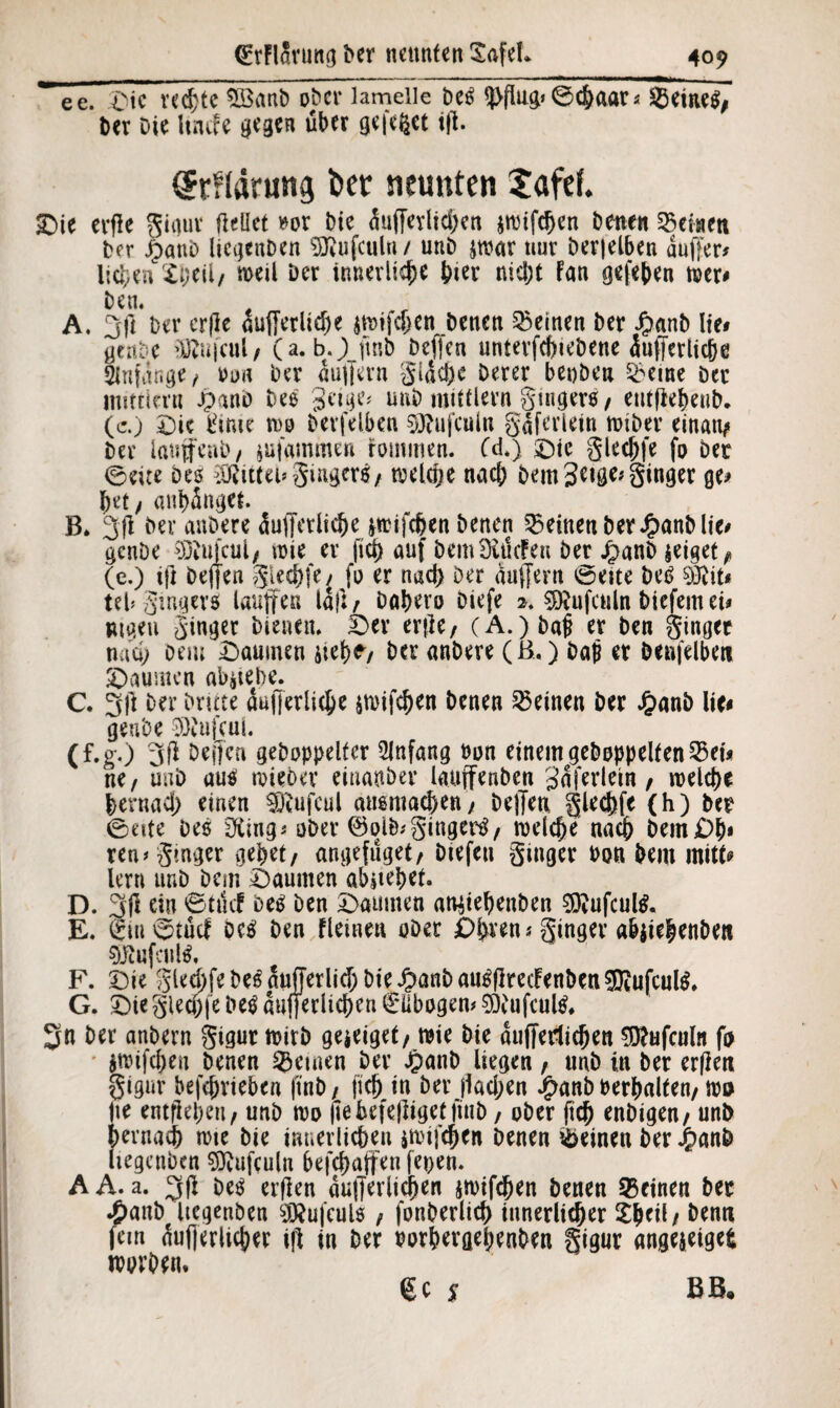 ee. £\c ved;tc^öanb ober lameiie be$ 9>flug» 0cbaar* 55eine$; Der Die ltncfe gegen über gefegt ifi. <5rf(arung fcer neunten Jafef. ©ie cif c Sinuc (teilet m Die M«ltd)at sn>ifcf>en betten Weisen Der ioauD UcgenDen Sftufculn/ unD jrcar nur berjelben duffer* lieben Si;eil/ meil Der innerlich* bter nid;t Fan gefeben tr»er# Den. A. 3ft Der erfle aufferlid)e itoifc&en Denen deinen Der Jpanb Ite* genDe ilftufcul; (a. b.J jinb Dcfjen untevfcbiebene äufferlicjje Anfänge/ Dun Der «ufjern gldebe Derer bepben £eme Der Mittlern Jpanb Des geige# unD Mittlern ginger*; eutflebeub. (c.) Sic tfime tut) Derfelben 93?ufculn gdferlein imber einatv Der ImtjfenD/ flammen fommen. Cd*) Sie glecbfe fo Der ©eite Des Mittel# ginget; treibe nach Dem Jage* ginger ge* bet; anbänge*. B. 3(1 Der anDere duffetlicbe prifchen Denen deinen Der £anblie* gcnDe 0JiU}cui; wie er ftd) auf DemDittcFeu Der Jr>anb geiget ^ (c.) ifl Deffen glecbfe / fü er nach Der auffern 0eite De* %ftiu Ub Singers laufen laf: r Dabero Diefe 2* $J?ufculn tiefem ei* maen ginger Dienen. Ser er(ler (A.)baü er ben ginger nao; Dem Daumen sieb*/ Der anDere (ß,) bat? er benfelbeti Daumen ab^tebe. C. 3(1 Der Dritte aufferliebe jwifeben Denen deinen Der £anb lie# genbe SKufcul. (f.g.) 3(1 Dejfca gehoppelter Anfang Don einem gehoppelten 2$ei* ne, unD au« roieber cinatiber lauffenben gdferletn / welche bernad) einen SRufeul ansmacben/ De)Ten glecbfe (h) Der 0eite Des OCing* aber ©oib* ginger* 7 welche nach Dem £>b* ren# ginger gebet; angefuget, Dtefeu ginger Don Dem mitt* lern ur»D Dem Saunten abjiebet. D. 3(1 ein 0 t lief oe* Den Saumen attyebenDen 9ftufcul*. E. giu0tücf De* Den fletnen ober £>bren* ginger abjiebenDen sföufcnW. F. Sie gled;feDe^dujJerlicf;DieJpanDan^(lrecFenben®ufcul^. G. Sie glecbfe De* aufferlicben 0ibogen* SDiufcul*. 3n Der anbern gigur wirb gejeiget; wie Die dujferticbett 9ftufcufa fa jtiufcben Denen feinen Der JpanD liegen f unD in Der er(len gigur betrieben |tnb 7 (ich in Der (iad;en $anb Derbalten; wo jie entflebeii; unD wo fie beteiliget ftub, ober ftcb enDtgen; unb bernad) wie Die imterlicben itpifeben Denen deinen Der Jjpanb liegenDen Sftufculn befebaffen fepen. A A. a. 3)1 De* erflen dujferlicben $wtfcben Denen Q5etnen Der ^)anDrltegenDen SSÄufculs; fonberlid) innerlicher £beil; Denn fern äußerlicher i(l in Der oorbergebenDen gigur angejeigefc worben. 6 c $ BB«