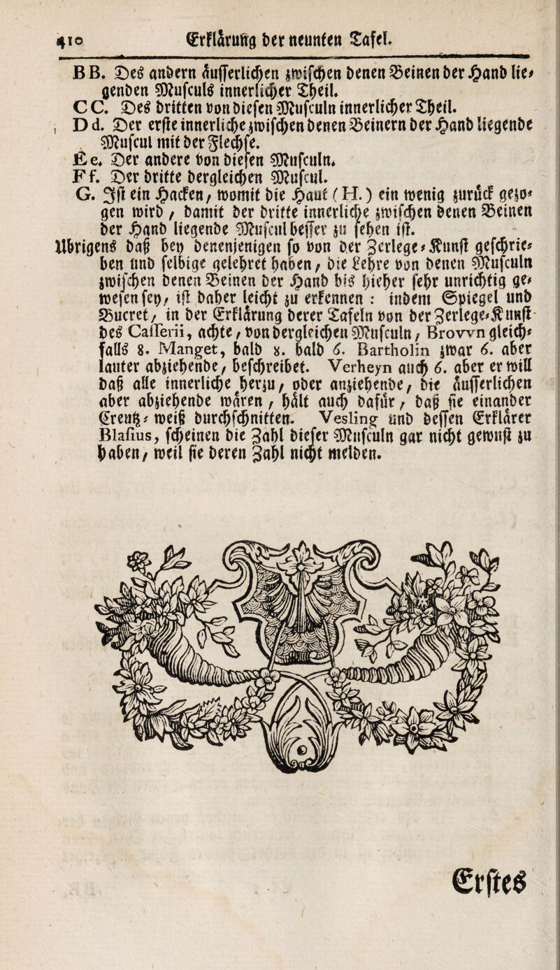 BB. De$ anbern äußerlichen $!tnfcf)en Denen deinen Der J&anblie* genben SRufcufö innerlicher Slwl. C C. £>e£ Dritten »on Diefen iÜDifculn innerlicher Shell, i D d. £)er erfle innerliche *tt>ifd;en Denen Seinern Der 4>anb liegenbe ^ufcul mit Der gle^fe. Ee* £)er anDere hon Diefen ?0?ufculm Ff. Öer Dritte Dergleichen SSftufcnl. G. 3(1 ein Jg)acfeti / momif Die $aut (H.) ein mentg $uräcf ge$o* gen rcirb / Damit Der Drifte innerliche ätrifeben Denen deinen Der £anb liegenDe Unfall beffer p feBett ift. Übrigen^ bap bei) Denenjenigen fo Dun Der gerlege gefchrie* ben tmD felbige gelehret haben; Die Fe^re hu Denen €ücufculti imifchen Denen deinen Der J[:>anb bi# hieher fehr unrichtig ge# mefenfet)/ tfl Daher leicht $u ernennen : inbem ©piegel unb 25ucret/ in Der Qcrflärung Derer Safeln non Der3erlege#Äimfl- be$ Callem, acf>te, t>onDerglri^eu 93?tifcuin / Brown gleich* faü6 8. Manget, balb 8. halb 6. Bartholin $föar 6. aber lauter abstehenbe, befchreibet. Verheyn auch 6. aber er röill bah alle innerliche berju/ ober an&iebenbe, Dir äußerlichen aber abjiehenbe waren, hält auch Dafür, bah fie einanber <£reu$* weiß Durchschnitten. Vesling unD beflen klarer Blafius, fd>einen Die Jahl Diefer SDfaifculn gar nicht gewufl §u haben/ weil pe Deren gahl nicht melDen. €rftc$