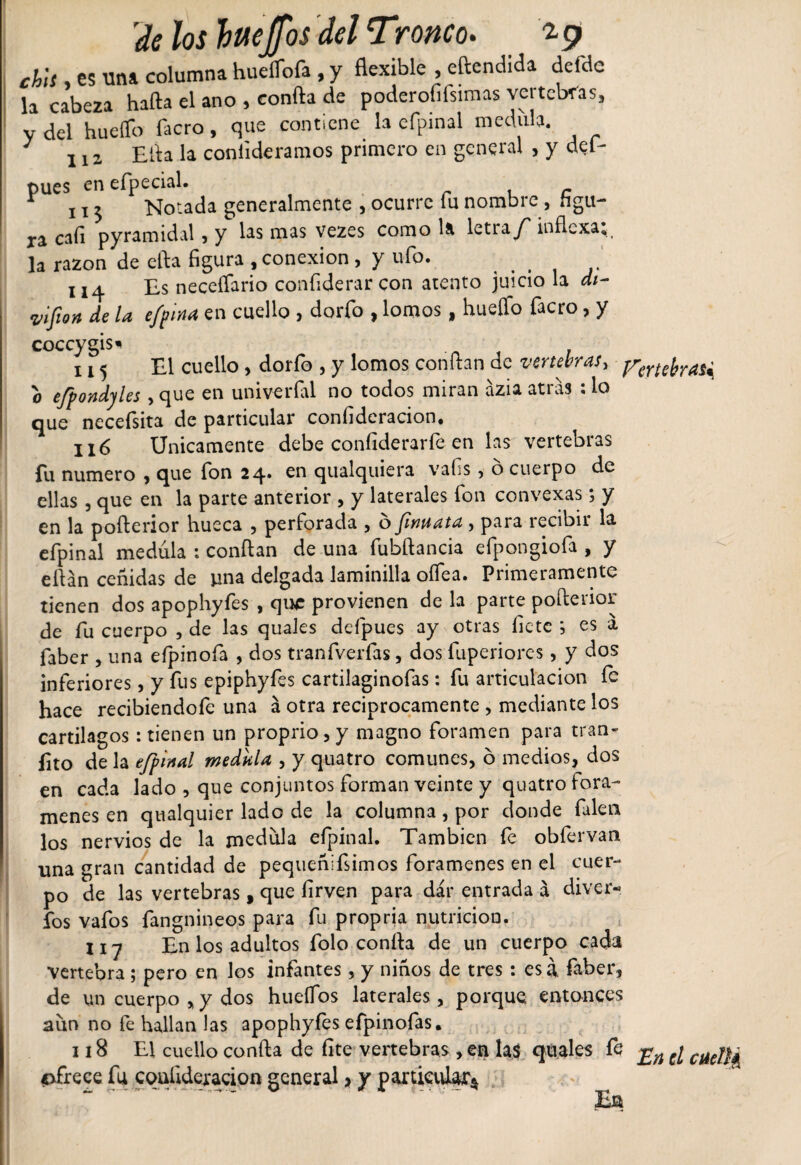 'de los TjaeJfos del Tronco. ^9 chis , es una columna huelTofa , y flexible , eftendida defdc la cabeza hafta el ano , confia de poderofiisimas vertebras, y del hueíTo facro, que contiene la efpinal medida. J liz Ella la con lideramos primero en general &gt; y deí- pues cnefpecial. 113 Notada generalmente , ocurre íu nombre, figu¬ ra caí! pyramidal , y las mas vezes como líi letia/' inflexa* la razón de efta figura , conexión , y ufo. , H4 Es neceífario confiderar con atento juicio la ai- y ifio n de la efpina en cuello , dorio , lomos, hueíTo facro, y coccygis* 115 El cuello, dorio , y lomos confían de vertebras, prerteyrai^ o efpondyles , que en univerial no todos miran ázia atras ; lo que neceisita de particular confideracion, 116 Unicamente debe coníiderarie en las vertebras fu numero , que ion 24. en qualquiera vais, ó cuerpo de ellas , que en la parte anterior , y laterales ion convexas; y en la pofterior hueca , perforada , o finaata , para recibii la efpinal medula : confian de una fubftancia efpongiofa , y efián ceñidas de una delgada laminilla oífea. Primeramente tienen dos apophyfes , quc provienen de la parte pofterior de iu cuerpo , de las quales deipues ay otras líete ; es a faber , una eípinofa , dos tranfverfas, dos fuperiores, y dos inferiores, y fus epiphyfes cartilaginofas: fu articulación íe hace recibiendoie una á otra reciprocamente , mediante los cartílagos: tienen un proprio,y magno foramen para tran- fito de la efpinal medula , y quatro comunes, ó medios, dos en cada lado , que conjuntos forman veinte y quatro forá¬ menes en qualquier lado de la columna, por donde filen los nervios de la medula efpinal. También fe obfervan una gran cantidad de pequeñifsimos forámenes en el cuer¬ po de las vertebras, que íirven para dar entrada á diver- fos vafos fanguineos para fu propria nutrición. 11 j En los adultos folo confia de un cuerpo cada vertebra; pero en los infantes, y niños de tres : esa faber, de un cuerpo &gt; y dos hueífos laterales , porque entonces aun no fe hallan las apophyfes efpinofas. 118 El cuello confia de lite vertebras , en las quales fe £n e¡ cj4e¡j^ ofrece fu confideracion general &gt; y particular* E a