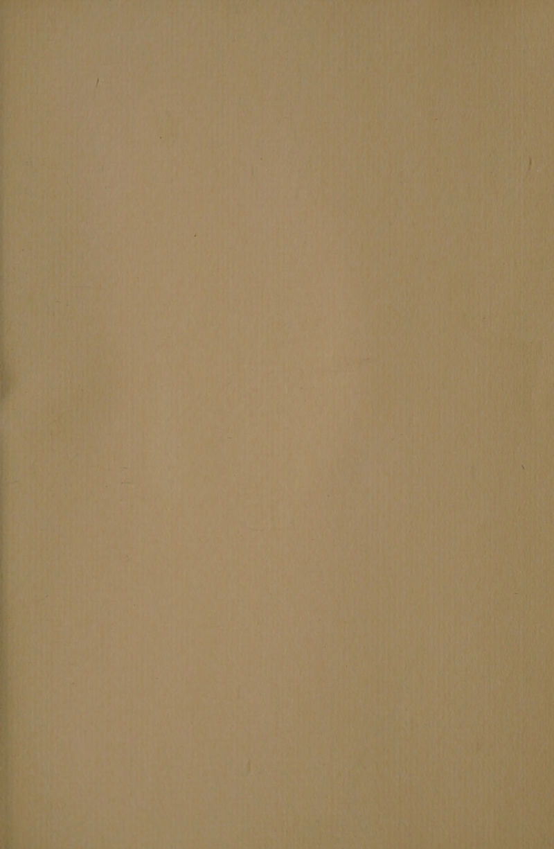 ye 4 sE % EA age EN IS EN y sl A pos EA Tala o >