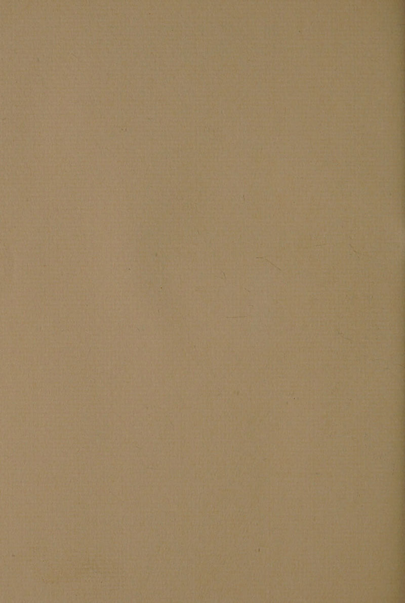 MA yA ALIAS , E We is pd e ' ñ > de a A S8N DONA PT ER | q AA ye Ñ 2d AAN ai Pa dde | nt ». ba dl dy AA iiO pe A DIO E A