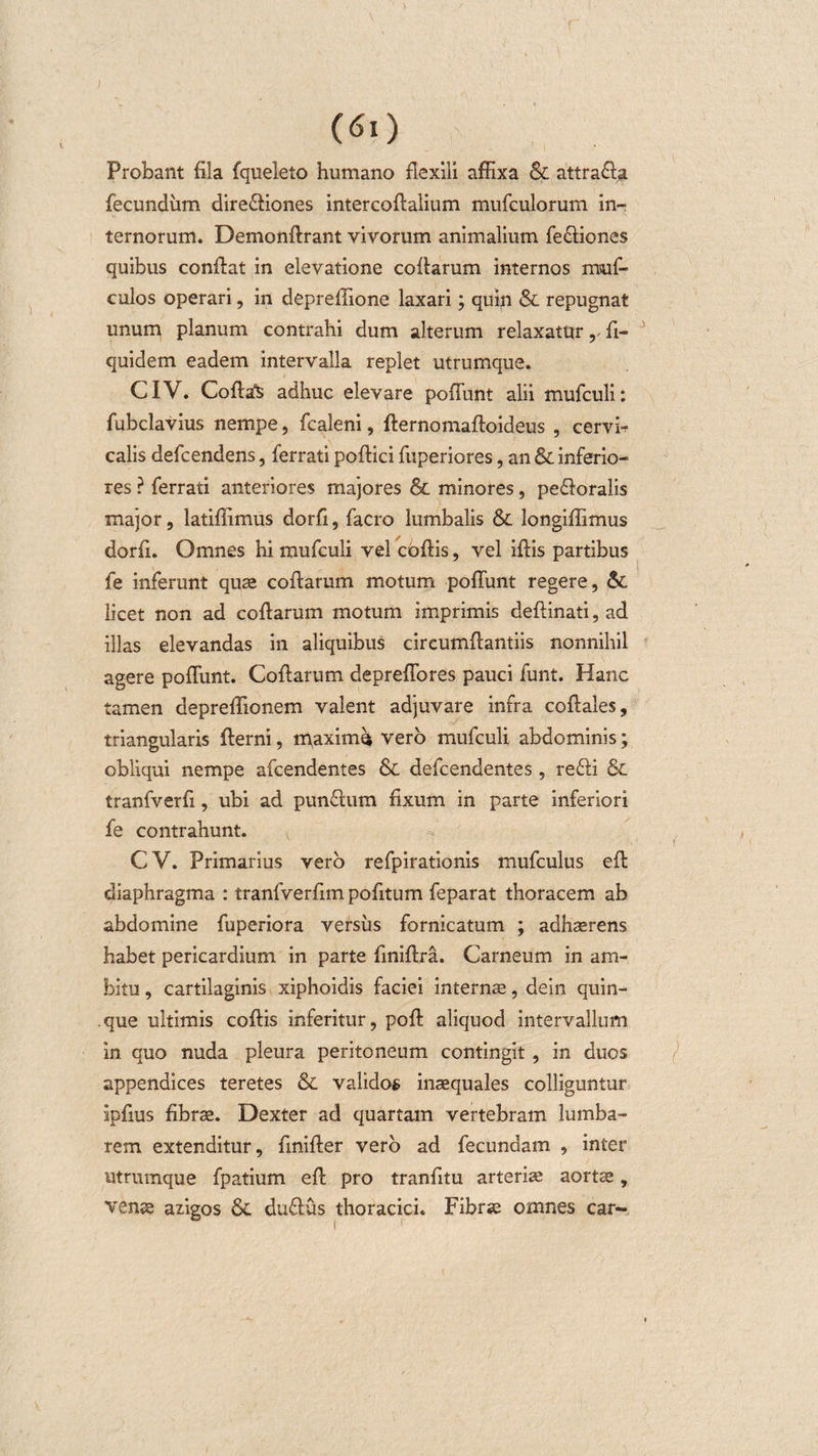 Probant fila fqueleto humano flexili affixa &amp; attra&lt;Sa fecundum dire£iiones intercoflalium mufculorum in¬ ternorum. Demonftrant vivorum animalium fe£iiones quibus conflat in elevatione cofiarum internos rraif- culos operari, in depreflione laxari; quin &amp; repugnat unum planum contrahi dum alterum relaxatur y fi- quidem eadem intervalla replet utrumque. CIV. Cofta^ adhuc elevare pofTunt alii mufculi: fubclavius nempe, fcaleni, fternomaftoideus , cervi- calis defcendens, ferrati poftici fuperiores, an &amp; inferio¬ res ? ferrati anteriores majores &amp; minores, pe&amp;oralis major, latiffimus dorfl, facro lumbalis &amp; longiflimus dorfi. Omnes hi mufculi vel coftis, vel iflis partibus fe inferunt quae coflarum motum poflunt regere, &amp; licet non ad coflarum motum imprimis deftinati, ad illas elevandas in aliquibus circumflandis nonnihil agere poflunt. Coflarum depreflores pauci funt. Hanc tamen depreflionem valent adjuvare infra coftales, triangularis fterni, maximi vero mufculi abdominis; obliqui nempe afcendentes &amp; defcendentes, re£ii &amp; tranfverfi, ubi ad punflum fixum in parte inferiori fe contrahunt. CV. Primarius vero refpirationis mufculus eft diaphragma : tranfverfim pofitum feparat thoracem ab abdomine fuperiora versus fornicatum ; adhaerens habet pericardium in parte fmiflra. Carneum in am¬ bitu , cartilaginis xiphoidis faciei internae, dein quin¬ que ultimis coftis inferitur, poft aliquod intervallum in quo nuda pleura peritoneum contingit, in duos appendices teretes &amp; validos inaequales colliguntur ipfius fibrae. Dexter ad quartam vertebram lumba- rem extenditur, fmifter vero ad fecundam , inter utrumque fpatium efl pro tranfitu arteriae aortae, vense azigos &amp; du6lus thoracici. Fibrae omnes car-