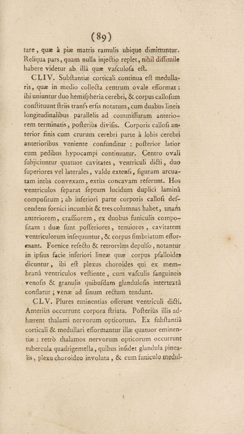 (§9) fare, quas a piae matris ramulis ubique dimittuntur* Reliqua pars, quam nulla inje&amp;io replet, nihil diffimil® habere videtur ab illa quae vafculofa eft. CLIV. Subftantiae corticali continua eft medulla¬ ris , quae in medio colle&amp;a centrum ovale efformat: ibi uniuntur duo hemifpheria cerebri, &amp; corpus callofum conftituunt ftriis tranfv erfis notatum, cum duabus lineis longitudinalibus parallelis ad commiffuram anterio¬ rem terminatis, pofteriiis divifis. Corporis callofi an¬ terior finis cum crurum cerebri parte a lobis cerebri anterioribus veniente confunditur : pofterior latior cum pedibus hypocampi continuatur. Centro ovali fubjiciuntur quatuor cavitates, ventriculi di£li, duo fuperiores vel laterales, valde extenfi, figuram arcua¬ tam intus convexam, extus concavam referunt. Hos ventriculos feparat feptum lucidum duplici lamina compofitum ; ab inferiori parte corporis callofi def- cendens fornici incumbit &amp; tres columnas habet, unaffi anteriorem, craffiorem, ex duobus funiculis compo- fitam : duae funt pofteriores, tenuiores , cavitatem ventriculorum infequuntur, &amp; corpus fimbriatum effor* enant. Fornice refedfo &amp; retrorsum depuifo, notantur in ipfius facie inferiori lineae quae corpus pfalloides dicuntur, ibi eft plexus choroides qui ex mem¬ brana ventriculos veftiente , cum vafculis fanguineis renofis &amp;. granulis quibufdam glandulofis intertexta conflatur; venae ad finum re&amp;um tendunt. CLV. Plures eminentias offerunt ventriculi di£lh Anterius occurrunt corpora ftriata. Pofteriiis illis ad¬ haerent thalami nervorum opticorum. Ex fubftantia corticali &amp; medullari efformantur illae quatuor eminen¬ tiae : retro thalamos nervorum opticorum occurrunt tubercula quadrigemella, quibus infidet glandula pinea¬ lis , plexu choroideo involuta , &amp; cum funiculo tngdul-