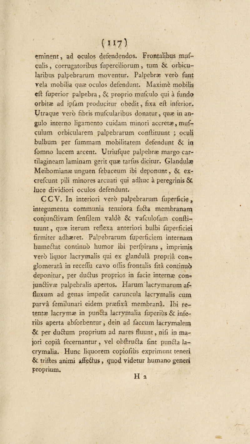eminent, ad oculos defendendos. Frontalibus muf- culis, corrugatoribus fuperciliorum, tum &amp; orbicu¬ laribus palpebrarum moventur. Palpebrae vero funt vela mobilia quae oculos defendunt. Maxime mobilis efl fuperior palpebra, &amp; proprio mufculo qui a fundo orbitae ad ipfam producitur obedit, fixa efl inferior» Utraque vero fibris mufcularibus donatur, quae in an¬ gulo interno ligamento cuidam minori accretae, muf- culum orbicularem palpebrarum conflituunt ; oculi bulbum per fummam mobilitatem defendunt &amp; in fomno lucem arcent. Utriufque palpebrae margo car¬ tilagineam laminam gerit quae tarfus dicitur. Glandulae Meibomianae unguen febaceum ibi deponunt, &amp; ex- crefcunt pili minores arcuati qui adhuc a peregrinis 8t luce dividiori oculos defendunt. C C V. In interiori vero palpebrarum fuperficie , integumenta communia tenuiora fa£la membranam conjun&amp;ivam fenfilem valde &amp; vafculofam confli¬ tuunt , quae iterum reflexa anteriori bulbi fuperficiei firmiter adhaeret. Palpebrarum fuperficiem internam humeftat continuo humor ibi perfpirans , imprimis vero liquor lacrymalis qui ex glandula propria con¬ glomerata in receffu cavo offis frontalis fita continuo deponitur, per duflus proprios in facie internae con-* jun£livae palpebralis apertos. Harum lacrymarum af- fluxum ad genas impedit caruncula lacrymalis cum parva femilunari eidem praefixa membrana. Ibi re¬ tentae lacrymae in pun£la lacrymalia fuperiiis &amp; infe¬ rius aperta abforbentur, dein ad faecum lacrymalem St per du&amp;utn proprium ad nares fluunt, nifi in ma¬ jori copia fecernantur, vel obflru£la fint pun£la la¬ crymalia. Hunc liquorem copiofiiis exprimunt teneri &amp; trifles animi affe&amp;us, quod videtur humano generi proprium. H 2