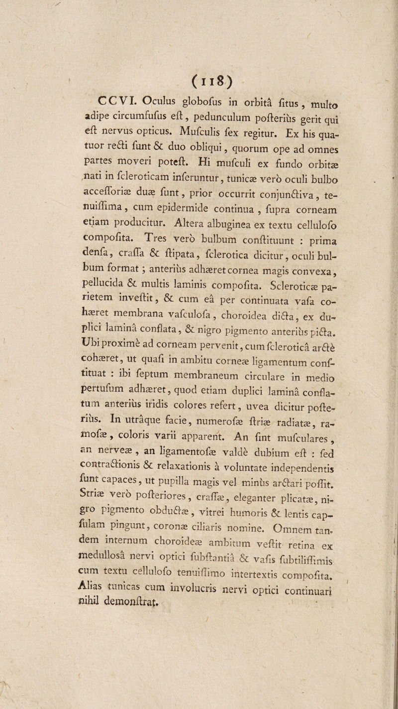 c C VI. Oculus globofus in orbita fitus , multo adipe circumfufus eft, pedunculum pofterius gerit qui eft nervus opticus. Mufculis fex regitur. Ex his qua- tuor ie£fi funt &amp; duo obliqui, quorum ope ad omnes partes moveri poteft. Hi mufculi ex fundo orbitae nati in fcleroticam inferuntur, tunicae vero oculi bulbo accefloriai duae funt, prior occurrit conjunffiva , te¬ li u illima , cum epidermide continua , fupra corneam etiam producitur. Altera albuginea ex textu cellulofo compofita. Tres vero bulbum conflituunt : prima denfa, crafla &amp; ftipata, fclerotica dicitur, oculi bul¬ bum format j anterius adhaeret cornea magis convexa, pellucida &amp; multis laminis compofita. Scleroticae pa¬ rietem inveftit, &amp; cum ea per continuata vafa co¬ haeret membrana vafculofa, choroidea di&amp;a, ex du¬ plici lamina conflata, &amp; nigro pigmento anterius piffa. Ubi proxime ad corneam pervenit, cum fclerotica ar&amp;k cohaeret, ut quafi in ambitu corneae ligamentum conf- tituat : ibi feptum membraneum circulare in medio pertufum adhaeret, quod etiam duplici lamina confla¬ tum anterius iridis colores refert, uvea dicitur pofte- ritis. In utraque facie, numerofae ftriae radiatae, ra- mofae, coloris varii apparent. An fint mufculares , an nerveae , an ligamento fae valde dubium eft : fed conti a&amp;ionis &amp; relaxationis a voluntate independentis funt capaces, ut pupilla magis vel miniis armari poflit. Striae vero pofieriores, crafiae, eleganter plicatae, ni- gio pigmento obduflae, vitrei humoris &amp; lentis cap- fulam pingunt, coronae ciliaris nomine. Omnem tan¬ dem internum choroideae ambitum veftit retina ex medullosa nervi optici fubftantia &amp; vafis fubtiliffimis cum textu cellulofo tenuiflimo intertextis compofita. Alias tunicas cum involucris nervi optici continuari nihil demonftrat.