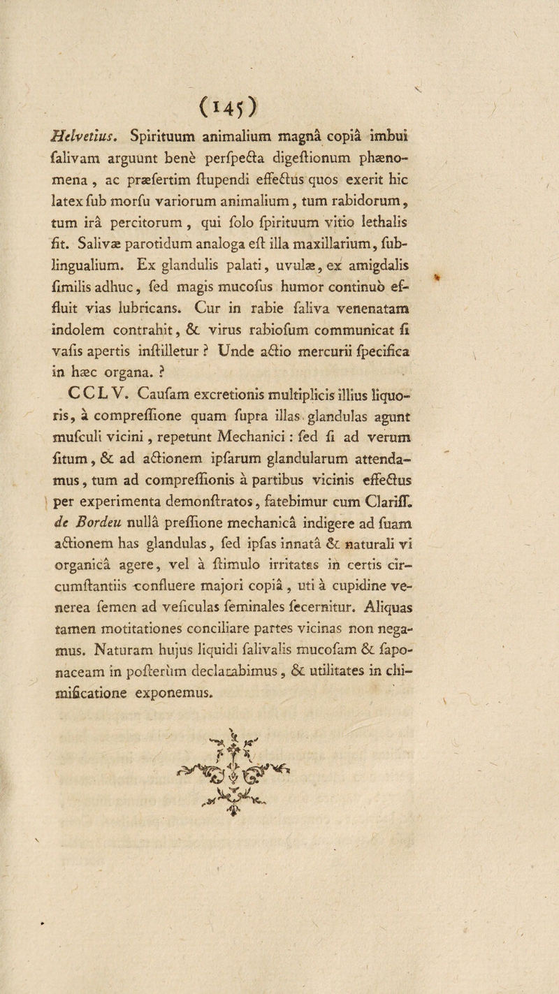 Helvetius. Spirituum animalium magna copia imbui falivam arguunt bene perfpe&amp;a digeflionum phaeno¬ mena , ac praefertim flupendi effefhis quos exerit hic latex fub morfu variorum animalium, tum rabidorum, tum ira percitorum , qui foio fpirituum vitio lethalis fit. Salivae parotidum analoga eft illa maxillarium, fub- iingualium. Ex glandulis palati, uvulae, ex amigdalis fimilis adhuc, fed magis mucofus humor continuo ef¬ fluit vias lubricans. Cur in rabie faliva venenatam indolem contrahit, &amp; virus rabiofum communicat fi vafls apertis inftilletur ? Unde adfio mercurii fpecifica in haec organa. ? C C L V. Caufam excretionis multiplicis illius liquo¬ ris, a compreffione quam fupra illas glandulas agunt mufculi vicini, repetunt Mechanici: fed fi ad verum fitum, &amp; ad aflionem ipfarum glandularum attenda¬ mus , tum ad compreffionis a partibus vicinis effe£lu$ per experimenta demonftratos, fatebimur cum ClarilL de Bordeu nulla preflione mechanica indigere ad fuam a&amp;ionem has glandulas, fed ipfas innata &amp;. naturali vi organica agere, vel a flimulo irritatas in certis cir¬ cumflandis confluere majori copia , uti a cupidine ve- nerea femen ad veficulas feminales fecernitur. Aliquas tamen motitationes conciliare partes vicinas non nega¬ mus. Naturam hujus liquidi falivalis mucofam &amp; fapo- naceam in pofleriim declarabimus, &amp; utilitates in chi- mificatione exponemus.