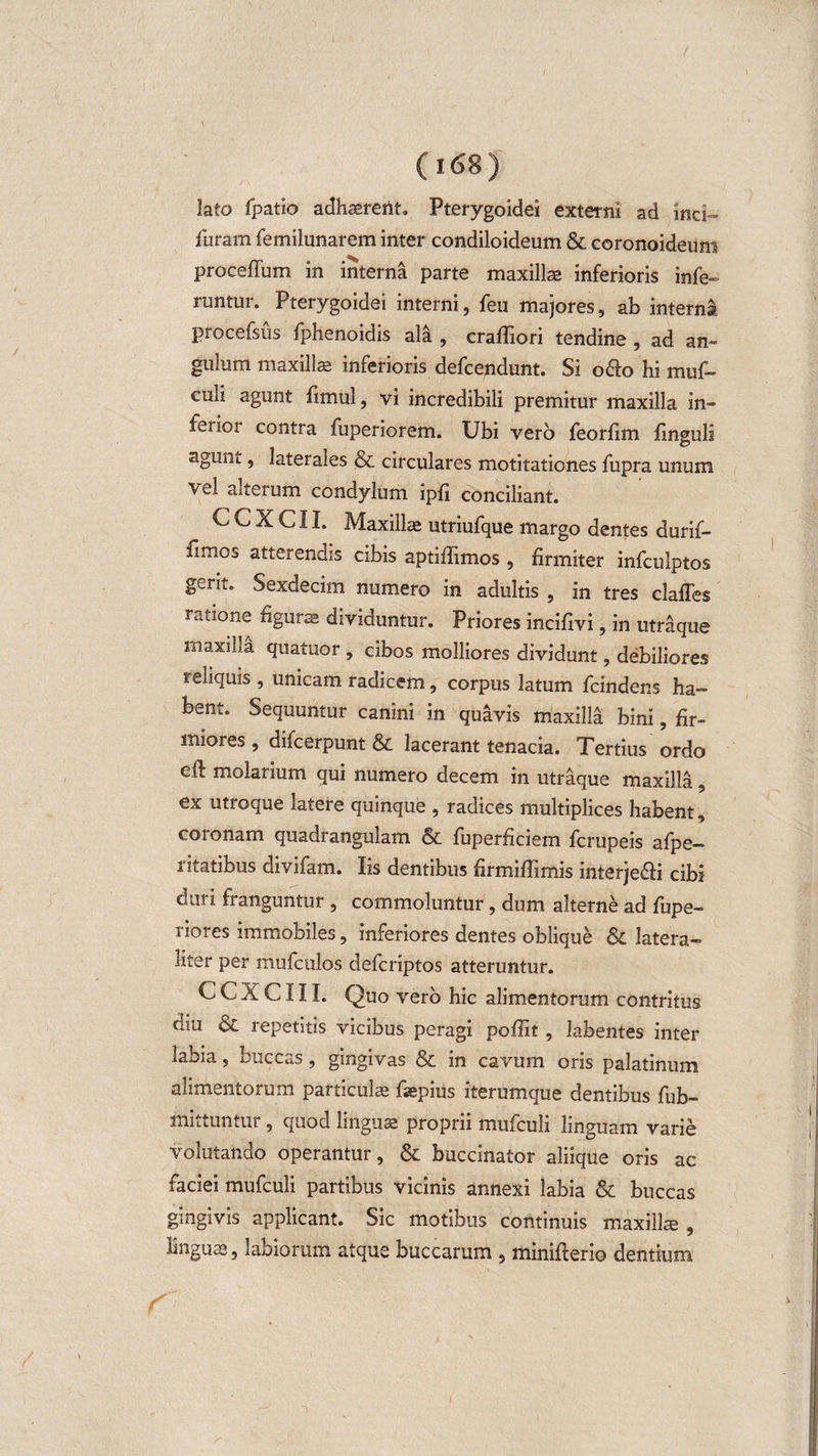 lato fpatio adhaerent. Pterygoidei externi ad mci~ furam femilunarem inter condiloideum &amp; coronoideum proceffum in interna parte maxillae inferioris infe¬ runtur. Pterygoidei interni, feu majores, ab interna procefsus fphenoidis ala , craffiori tendine , ad an¬ gulum maxillae inferioris defcendunt. Si o&amp;o hi muf- culi agunt fimul, vi incredibili premitur maxilla in¬ ferio: contra fuperiorem. Ubi vero feorfim finguli agmii., laterales &amp; circulares motitationes fupra unum vel alterum condylum ipfi conciliant. C C X C11. Maxillae utriufque margo dentes durif- fimos atterendis cibis aptifiimos , firmiter infculptos gerit. Sexdecim numero in adultis , in tres claffes ratione figurae dividuntur. Priores incifivi, in utraque maxilla quatuor , cibos molliores dividunt, debiliores reliquis , unicam radicem, corpus latum fcindens ha¬ bent. Sequuntur canini in quavis maxilla bini, fir¬ miores , difcerpunt &amp; lacerant tenacia. Tertius ordo dl molarium qui numero decem in utraque maxilla, ex utroque latere quinque , radices multiplices habent, coronam quadrangulam &amp; fuperficiem fcrupeis afpe- ritatibus divifam. Iis dentibus firmiflimis interje&amp;i cibi duri franguntur , commoluntur, dum alterne ad fupe- riores immobiles, inferiores dentes oblique &amp; latera- liter per mufculos defcriptos atteruntur. C C X C111. Quo vero hic alimentorum contritus diu &amp; repetitis vicibus peragi pofiit , labentes inter labia, buccas, gingivas &amp; in cavum oris palatinum alimentorum particula- faepius iterumque dentibus fub- mittuntur, quod linguae proprii mufculi linguam varie volutando operantur, &amp; buccinator aliique oris ac faciei mufculi partibus vicinis annexi labia &amp; buccas gingivis applicant. Sic motibus continuis maxillae „ y linguae, labiorum atque buccarum , minifterio dentium /