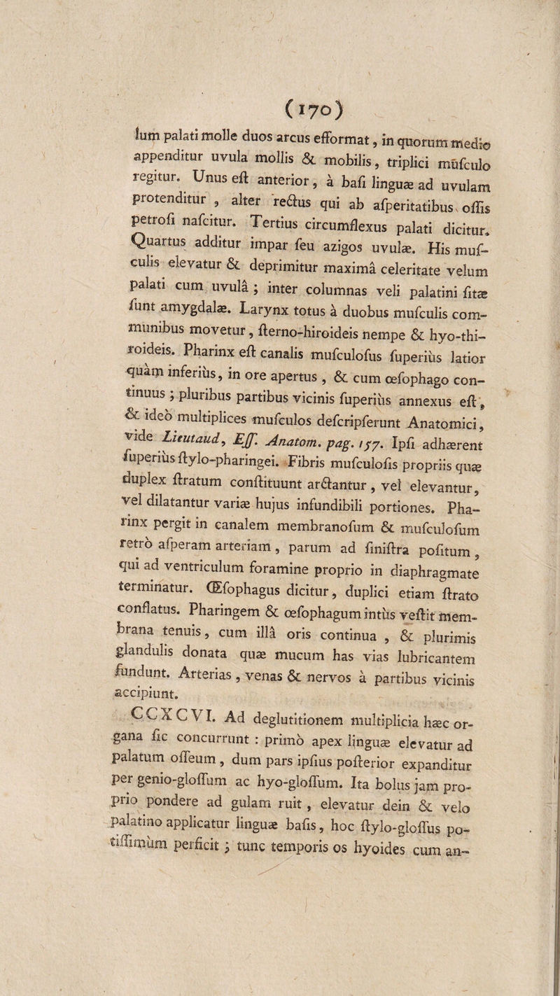 lum palati molle duos arcus efformat, in quorum medi© appenditur uvula mollis &amp; mobilis, triplici mufculo regitur. Unus eft anterior, a bafi linguae ad uvulam protenditur 3 alter reftus qui ab afperitatibus offis petrofi nafcitur. Tertius circumflexus palati dicitur» Quartus additur impar feu azigos uvula?. His muf- culis elevatur &amp; deprimitur maxima celeritate velum palati cum uvula ; inter columnas veli palatini fitse funt amygdalae. Larynx totus a duobus mufculis com¬ munibus movetur, flerno-hiroideis nempe &amp; hyo-thi- loideis. Pharinx eft canalis mufculofus fuperiiis latior quam inferius, in ore apertus , &amp; cum cefophago con¬ tinuus j pluribus partibus vicinis fuperiiis annexus efl , &amp; ideo multiplices mufculos defcripferunt Anatomici, vide Lieutaud, EJf. Anatom. pag. //7. Ipfi adhaerent fuperiiis flylo-pharingei. Fibris mufculofis propriis quae duplex ftratum confbtuunt ar&amp;antur, vel elevantur, vel dilatantur variae hujus infundibili portiones. Pha- linx pergit in canalem membranofum &amp; mufculofum retro afperam arteriam , parum ad finiftra pofitum , qui ad ventriculum foramine proprio in diaphragmate terminatur. (Efophagus dicitur, duplici etiam ftrato conflatus. Pharingem &amp; oefophagum intus veftit mem¬ brana tenuis, cum illa oris continua , &amp; plurimis glandulis donata quae mucum has vias lubricantem fundunt. Arterias , venas &amp; nervos a partibus vicinis accipiunt. C C X C \ I. Ad deglutitionem multiplicia haec or¬ gana fic concurrunt : primo apex linguae elevatur ad palatum offeum, dum pars ipfius pofterior expanditur per genio-gloffum ac hyo-gloffum. Ita bolus jam pro¬ prio pondere ad gulam ruit, elevatur dein &amp; velo palatino applicatur linguae bafis, hoc ftylo-gloffus po- tuTimiim perficit; tunc temporis os hyoides cum an-