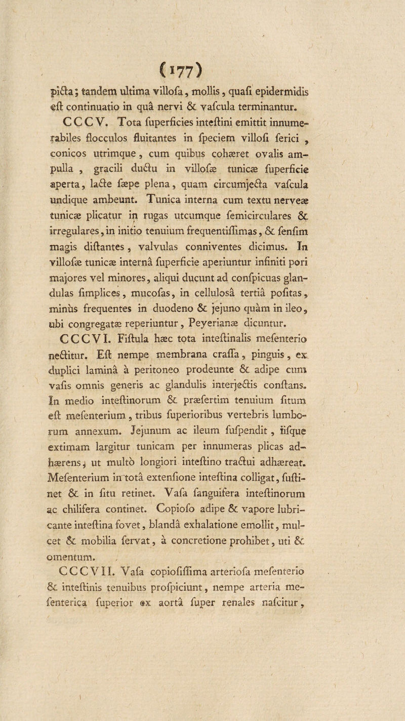 C177) pi&lt;fta; tandem ultima villofa, mollis, quafi epidermidis eft continuatio in qua nervi &amp; vafcula terminantur. C C C V. Tota fuperficies inteftini emittit innume- rabiles flocculos fluitantes in fpeciem villofi ferici , conicos utrimque, cum quibus cohaeret ovalis am¬ pulla , gracili du&lt;ftu in villofae tunicae fuperficie aperta, la&lt;fte faepe plena, quam circumje&amp;a vafcula undique ambeunt. Tunica interna cum textu nerveae tunicae plicatur in rugas utcumque femicirculares &amp; irregulares, in initio tenuium frequentiflimas, &amp; fenflm magis diftantes, valvulas conniventes dicimus. In villofae tunicae interna fuperficie aperiuntur infiniti pori majores vel minores, aliqui ducunt ad confpicuas glan¬ dulas fimplices, mucofas, in cellulosa tertia pofitas, minus frequentes in duodeno &amp; jejuno quam in ileo, ubi congregatse reperiuntur , Peyerianae dicuntur. CCCVI. Fiftula haec tota inteftinalis mefenterio ne&amp;itur. Eft nempe membrana crafla, pinguis, ex duplici lamina a peritoneo prodeunte &amp; adipe cum vafis omnis generis ac glandulis interje&amp;is conflans. In medio inteftinorum &amp; praefertim tenuium fitura efl mefenterium , tribus fuperioribus vertebris lumbo¬ rum annexum. Jejunum ac ileum fufpendit, iifque extimam largitur tunicam per innumeras plicas ad¬ haerens 4 ut multo longiori inteftino tra&amp;ui adhaereat. Mefenterium in tota extenfione inteftina colligat, fufti- net &amp; in fitu retinet. Vafa fanguifera inteftinorum ac chilifera continet. Copiofo adipe &amp; vapore lubri¬ cante inteftina fovet, blanda exhalatione emollit, mul¬ cet &amp; mobilia fervat, a concretione prohibet, uti &amp; omentum. C C C V11. Vafa copiofiffima arteriofa mefenterio &amp; inteftinis tenuibus profpiciunt, nempe arteria me- fenterica fuperior ®x aorta fuper renales nafcitur,