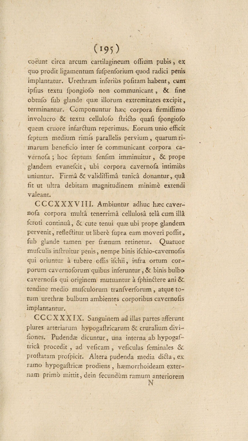 ( (*95) coelmt circa arcum cartilagineum offium putis, ex quo prodit ligamentum fufpenforium quod radici penis implantatur. Urethram inferius politam habent, cum ipfrns textu fpongiofo non communicant, 6c fine obtufo fub glande quae illorum extremitates excipit, terminantur. Componuntur haec corpora firmiflimo involucro &amp; textu cellulofo ftri&amp;o quafi fpongiofo quem cruore infarffium reperimus. Eorum unio efficit feptum medium rimis parallelis pervium, quarum ri¬ marum beneficio inter fe communicant corpora ca- vernofa ; hoc feptum lenfim imminuitur, &amp; prope glandem evanefcit, ubi corpora cavernofa intimius uniuntur. Firma &amp; validiffima tunica donantur, qua fit ut ultra debitam magnitudinem minime extendi valeant. C CCXXXVIII. Ambiuntur adhuc haec caver¬ nofa corpora multa tenerrima cellulosa tela cum illa fcroti continua, St cute tenui quae ubi prope glandem pervenit, refie£litur ut libere fupra eam moveri poffit, fub glande tamen per frsenum retinetur. Quatuor mufculis inftruitur penis, nempe binis ifchio-cavemofis qui oriuntur a tubere offis ifchii, infra ortum cor¬ porum cavernoforum quibus inferuntur, &amp; binis bulbo cavernofis qui originem mutuantur a fphin&amp;ere ani &amp; tendine medio mufculorum tranfverforum , atque to¬ tum urethrae bulbum ambientes corporibus cavernofis implantantur. CCCXXXIX. Sanguinem ad illas partes afferunt plures arteriarum hypogaffricarum &amp; cruralium divi— fiones. Pudenda dicuntur, una interna ab hypogaffi trica procedit , ad veficam , veficulas feminales &amp; proflatam profpicit. Altera pudenda media didfa, ex ramo hypogaftricae prodiens, haemorrhoideam exter- riLam primo mittit, dein fecundum ramum anteriorem N