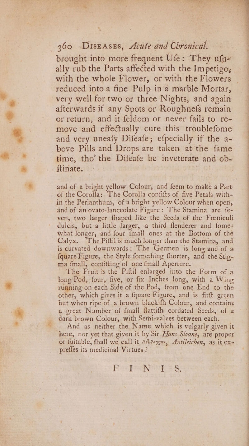 a7 vey brought into more frequent Ure : They ufu- ally rub the Parts affected with the Impetigo; with the whole Flower, or with the Flowers reduced into a fine Pulp in a marble Mortar, very well for two or three Nights, and again afterwards if any Spots or Roughnefs remain or return, and it feldom or never fails to re- move and effectually cure this troublefome and very uneafy Difeafe; efpecially if the a- bove Pills and Drops are taken at the fame time, tho’ the Difeafe be inveterate and ob- and of a bright yellow Colour, and feem to make a Part of the Corolla: The Corolla confifts of five Petals with- in the Perianthum, of a bright yellow Colour when open, and of an ovato-lanceolate Figure : ‘The Stamina are fe- ven, two larger fhaped like “the Seeds of the Feeniculi dulcis, but a little larger, a third flenderer and fome- what longer, and four {mall ones at the Bottom of the Calyx. The Piftil is much longer than the Stamina, and is curvated downwards: ‘Che Germen is long and of a fquare Figure, the Style fomething fhorter, and the Stig~ ma {mall, confifting of one fmall Aperture. The Frat is the Piftil enlarged into the Form of a long Pod, four, five, or fix Inches long, with a Wing running: on each Side of the Pod, from one End to the other, which gives it a fquare Figure, and is firft green but when ripe “of a brown blackifh Colour, and contains a great Number of {mall fattifh cordated Seeds, of a dark brown Colour, with Semi-valves between each. And as neither the Name which is vulgarly given it here, nor yet that given it by Sir Hans Sloane, are proper or fuitable, fhall we = call it Avlne ExT, Antileichen, as it ex preffes its medicinal Virtues ? Pia eee Se