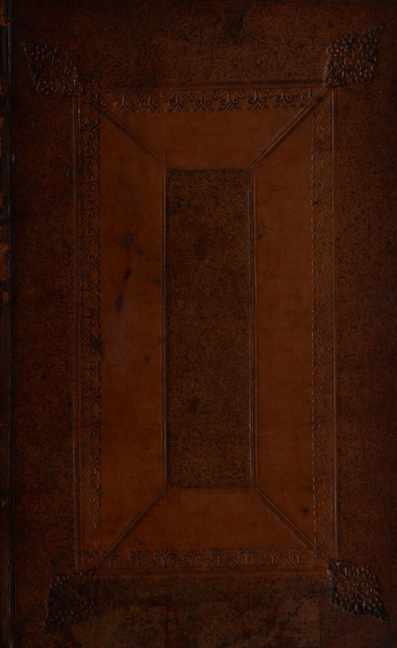 ng ate OE => ee wer : < + eae G tae “ye i ar os: an en | pee ighaneie als 4 SY pat al iF aw Ce a ex ges Cae . eo, Lf v2.2 } ie pei Oe