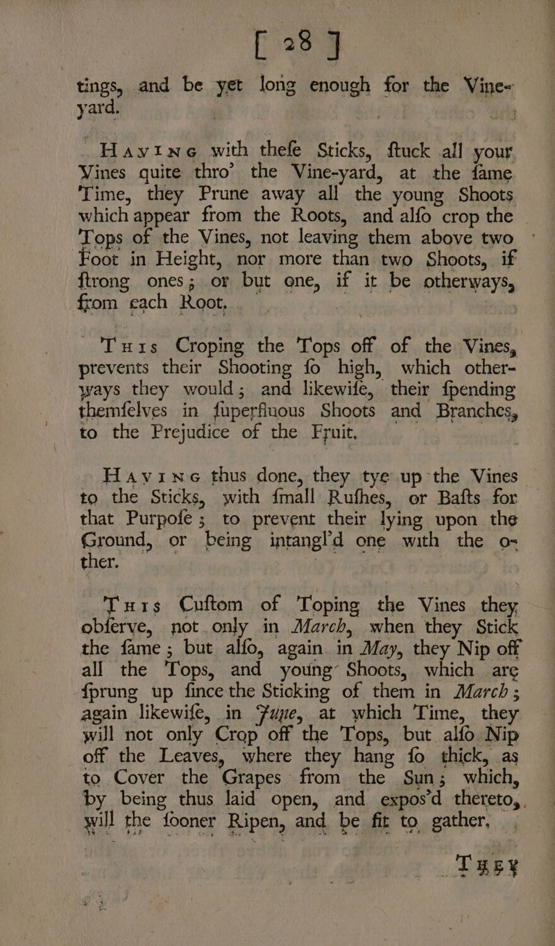 [28] tings, and be yet long enough for the Vine~ yard. 5) ek ~Havyine with thele Sticks, ftuck all your Vines quite thro’ the Vine-yard, at the fame Time, they Prune away all the young Shoots which appear from the Roots, and alfo crop the | Tops of the Vines, not leaving them above two Foot in Height, nor more than two Shoots, if ftrong ones; or but ene, if it be otherways, from cach Root, | | - Tuxs Croping the Tops off of the Vines, prevents their Shooting fo high, which other- ways they would; and likewife, their {pending themfelves in fuperfiuous Shoots and Branches, to the Prejudice of the Fruit. | Havine thus done, they tye up the Vines to the Sticks, with {mall Rufhes, or Bafts for that Purpofe ; to prevent their lying upon the Ground, or being intangl’d one with the o- TS Agen aaa by Turs Cuftom of Toping the Vines they, obferve, not.only in March, when they Stick the fame; but alfo, again in May, they Nip off all the Tops, and young’ Shoots, which are fprung up fince the Sticking of them in March ; again likewife, in Fue, at which Time, they will not only Crop off the Tops, but alfo Nip off the Leaves, where they hang fo thick, as to Cover the Grapes from the Sun; which, by being thus laid open, and expos’d thereto, will the fooner Ripen, and. be fit to, gather, , Tay