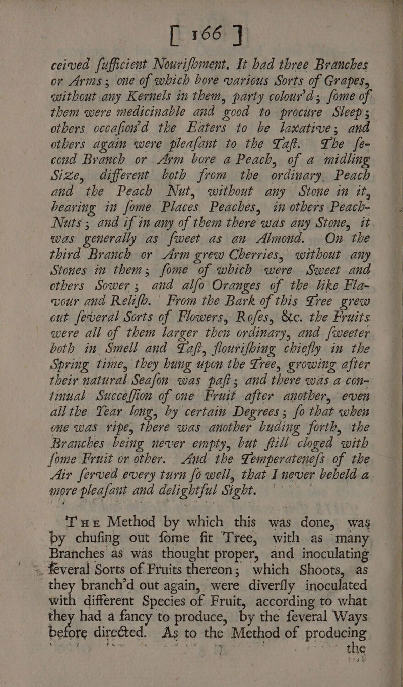 ceived fufficient Nourifoiment, It bad three Branches or Arms ; one of which bore various Sorts of Grapes, them were medicinable and good to procure Sleeps others occafiowd the Eaters to be laxative; and others again were pleafant to the Taf. The fe- cond Branch or Arm bore a Peach, of a midling Size, different both from the ordinary, Peach and the Peach Nut, without any Stone in it, bearing in fome Places Peaches, in others Peach- Nuts ; and if in any of them there was any Stone, it was generally as fweet as an Almond. On the third Branch or Arm grew Cherries, without any Stones in them; fome of which were Sweet and others Sower; and alfo Oranges of the like Fla- cour and Relifo. From the Bark of this €ree grew out feveral Sorts of Flowers, Rofes, &amp;c. the Fruits were all of them larger then ordinary, and fweeter both in Smell and Taft, flourifbiug chiefly in the Spring time, they hung upon the Tree, growing after their natural Seafon was pafi; and there was a con- tinual Succeffion of one Fruit after another, even all the Year long, by certain Degrees ; fo that when one was ripe, there was another buding forth, the Branches being never empty, but fiill cloged with fome Fruit or other. And the Temperatene/s of the more pleafaut and delightful Sight. Tue Method by which this was done, was by chufing out fome fit Tree, with as many Branches as was thought proper, and inoculating *, feveral Sorts of Fruits thereon; which Shoots, as they branch’d out again, were diverfly inoculated with different Species of Fruit, according to what they had a fancy to produce, by the feveral Ways bathe directed. As to the Method of progaaee TRAWAG A ine ter SE ka eae aaa {