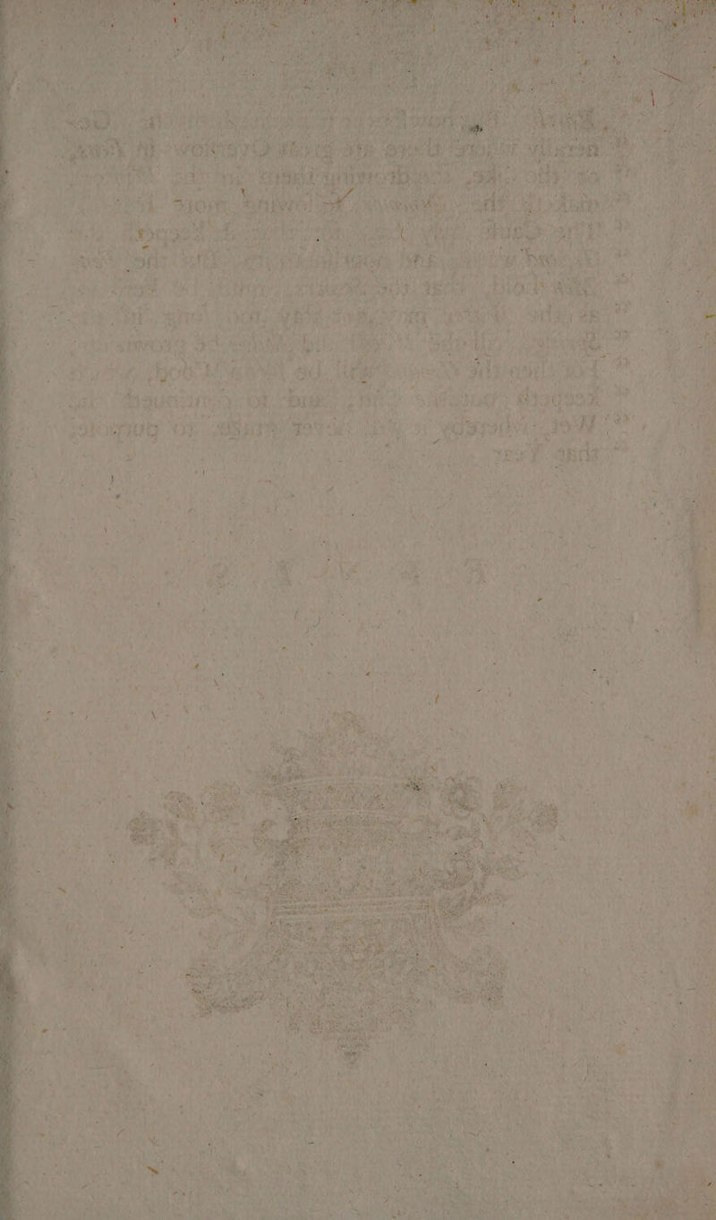 A en ais ee : ¢ ba M4 * ' u