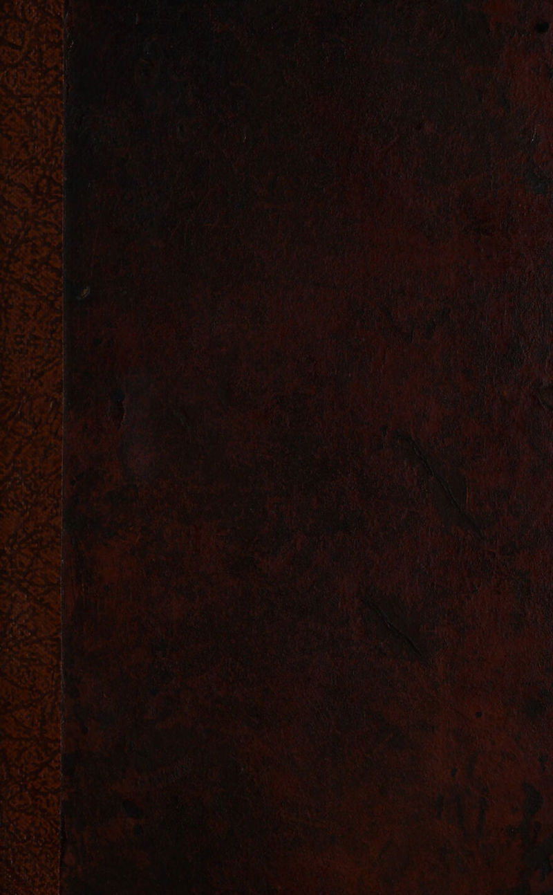 Seago SIRE a RI = MEN, a ou et ae Site <3 a y le i“ = Ak vi,