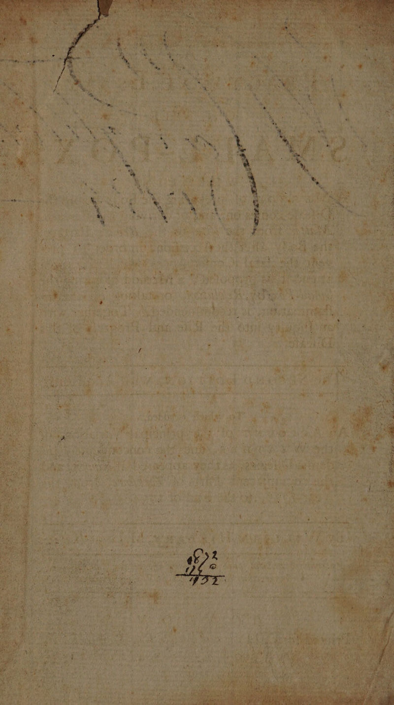 PS slo Be Sake ai r » i aD Cua ee pau ‘aaa Fhecg My pee  ys ‘aia ae he ¢ sia