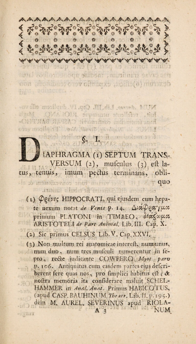 *0 # & # # # # ^ I «A: A:.Ay «# » yy^yyyywyy ^vyyvyyv^¥ •« . '■ •••*•■ - ••£ V jl DI» L IAPHRAGMA (i) SEPTUM TRANS,- VERSUM (2), mufculus (3) eft la¬ tus, tenuis, imum pedus terminans, obli¬ quo .nmicr Uri ■■; tn •—•; •/ Lrir -• '- (i) (p^iveg HIPPOCRATI, qui ejusdem cum hepa¬ te nexum notat de Vertis p. 14, &lfa(p Q&Af fiet primum PLATONI in TIMAEO, hctfafitt ARISTOTELI de Pan AniWal. Lib. III. Gap. X. (2) Sic primus CELSUS Lib.V. Cap.XXVI. (3) Non multum rei anatomicaeintereft, numnnus, num duo, num tres inufculi numerentur in fe~ - ■ * * ■ ■ ■ ■ • ■ \^i -• ■ * ■ ' jr pto, reriie judicante COWPERQ -Myot parv p. 106. Antiquitus cum easdem partes ejus defcri- berent fere quas nos, pro fimplici habitus eft; <3c noftra memoria ita confiderare maluit SCHEL- HAMMEPv in Annl.Anat. Primus HABICO I US, (apud CASP. BAUHINIJM Theatr. Lib. FL p. 193.) dei 11 M. AUREL. SEVERINUS apud RIOLA- A 3 NUM