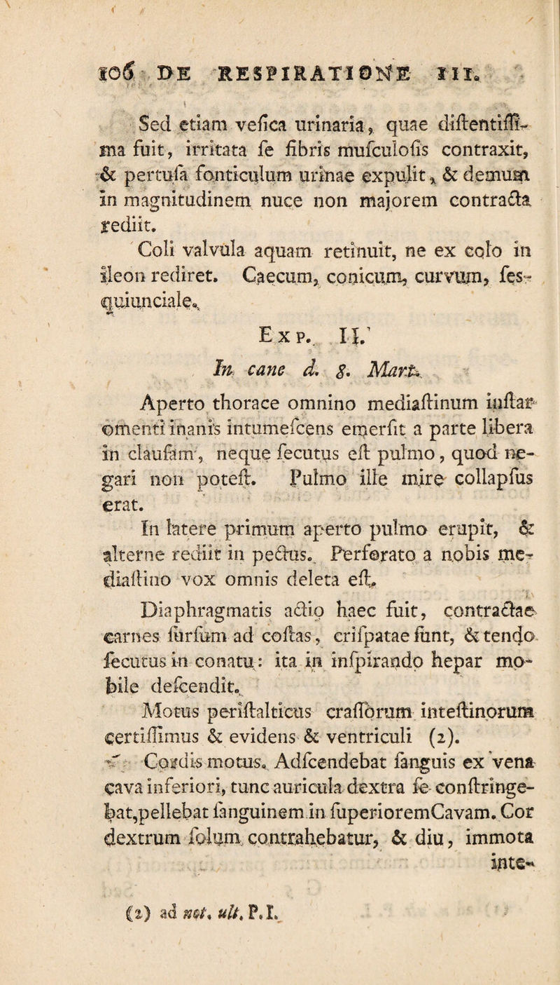Sed etiam vefica urinaria, quae diftentiffi- Hia fuit, irritata fe fibris mufculofis contraxit, & pertufa fonticulum urinae expulitx & demum in magnitudinem nuce non majorem contra&a rediit. Coli valvula aquam retinuit, ne ex cqlo in ileon rediret. Caecum, conicum, curvum? fes~ quiunciale.. Exp. IV In cane d. g, MarU Aperto thorace omnino mediaftinum infiar omenti inanis intumefcens emerfit a parte libera in claufam, neque fecutus eft pulmo, quod ne¬ gari non poteft. Pulmo ille mire collapfus erat. In latere primum aperto pulmo erupit, & alterne rediit in p.edus.. Perforato a nobis me- diafiino vox omnis deleta elh Diaphragmatis adio haec fuit, contradae carnes iurfum ad coftas, erifpatae funt, & tendo fecutus in conatu : ita in infpirandp hepar mo¬ bile defcendit. Motus periftalticus crafibrum inteftinorura certlllimus & evidens & ventriculi (2). v' Cordis motus, Adfcendebat fanguis ex vena cava inferiori, tunc auricula dextra fe- conftringe- bat,pellebat fanguinem in fuperioremCavam. Cor dextrum feluni contrahebatur, & diu, immota inte« (z) ad ult, P.L