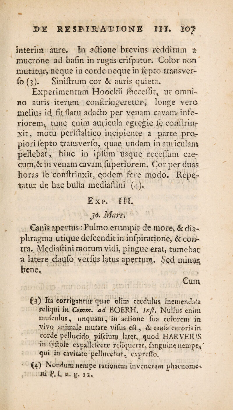 interim aure. In a£Hone brevius redditum a mucrone ad baiin in rugas crifpatur. Color non mutatur, neque in corde neque in fepto trans ver- fo (3). Sinidrum cor auris quieta. Experimentum HoocMi iucceffit^ ut omni¬ no auris iterum condringeretur, longe vera melius id, fit; datu a da do per venam cavam? infe¬ riorem,, tunc enim auricula egregie ie condrim- xit, motu peridaltico incipiente a parte pror piori fepto trausverfo, quae undam in auriculam pellebat, hinc in ipdrni usque receflum cae¬ cum,& in venam cavam fuperiorem. Cor per duas horas fe condrinxit,. eodem fere modo. Reper tatur de hac bulla mediadini (4). Exp. III. Mart* Canis apertus: Pulmo erumpit de more, & dia¬ phragma utique defcendit in infpiratione, & con¬ tra. Mediadini motum vidi, pingue erat, tumebat a latere claufo verius latus apertum. Sed minus hcne, , Cum - :'1 • • M *»• '1 ■ 1 - (3) Ita corrigantur quae olim credulus inemenda-fa reliqui in Comr/i. ad BOERH. lnjl% Nullus enim niufculus, unquam, in adione fua colorem in Vivo animale mutare vifus ed, & caufa ei-roris in corde pellucido pifeium latet, quod HARVEIUS in fyftole expallefcer.e reliquerat, fanguine nempe, qui in cavitate pellUcebat, expreffo. (4) Nondum nempe rationem inveneram phaenome-* ili P. I, n. g. 12, V