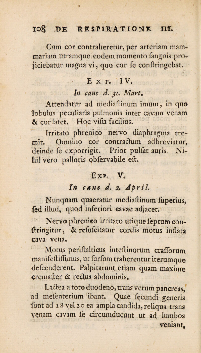 Cum cor contraheretur, per arteriam mam¬ mariam utramque eodem momento fanguis pro¬ jiciebatur magna vi, quo cor fe confringebat. - E x p. IV. In cane d. ji. Mart. Attendatur ad mediaftinum imum, in quo lobulus peculiaris pulmonis inter cavam venam & cor latet. Hoc vifu facilius. Irritato phrenico nervo diaphragma tre¬ mit. Omnino cor cotitra&um adbreviatur, deinde fe exporrigit. Prior puifat auris. Ni¬ hil vero palloris obfervabile eft. Exp. V, In cane d. 2. April. Nunquam quaeratur mediaftinum fuperius, fed illud, quod inferiori cavae adjacet. Nervo phrenico irritato utique feptum con¬ fringitur , & refufcitatur cordis motus inflata cava vena. Motus periftalticus inteflinorum craflbrum manifeftifllmus, ut furfum traherentur iterumque defcenderent. Palpitarunt etiam quam maxime cremafter & re&us abdominis, La&ea a toto duodeno, trans verum pancreas, ad mefenterium dbant. Quae fecundi generis funt ad 18 vel 20 ea ampla candida, reliqua trans venam cavam fe circumducunt ut ad lumbos veniant.