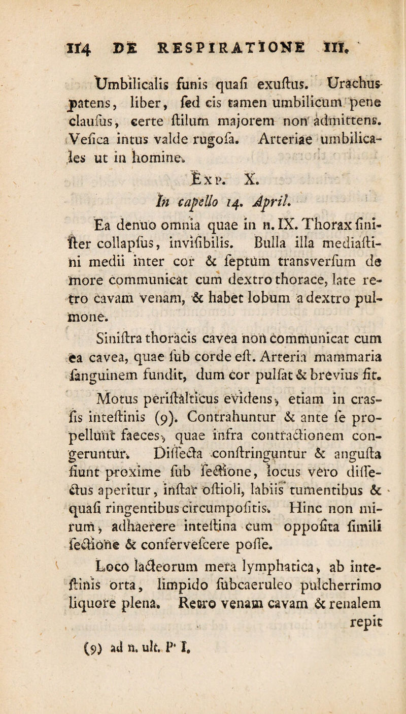 Umbilicalis funis quali exudus. Urachum |>atens, liber, fed cis tamen umbilicum pene claudis, certe dilum majorem non admittens. Velica intus valde rugofa. Arteriae umbilica¬ les ut in homine. Bxp. X. In cape lio 14. April. Ea denuo omnia quae in n. IX. Thorax {ini¬ tier collapfus, invifibilis. Bulla illa mediadi- ni medii inter cor & feptum transverfum de more communicat cum dextro thorace, late re* tro cavam venam, & habet lobum a dextro pul¬ mone. ? • -> t Sinidra thoracis cavea non communicat cum ea cavea, quae fub corde ed. Arteria mammaria fanguinem fundit, dum cor pullat & brevius dt. Motus perid&Mcus evidens > etiam in cras- fis intedinis (9)* Contrahuntur & ante fe pro¬ pellunt faeces*, quae infra contfadionem con¬ geruntur. Dilfeda condringuntur 6c anguda dunt proxime fub fedione, locus vero dilfe- dus aperitur, indat odioli, labiis tumentibus & • quali ringentibus circumpolitis* Hinc non mi¬ rum > adhaerere intedina cum oppodta fimili fedione & confervefcere pofie. Loco latJeorum mera lymphatica > ab inte- dinis orta, limpido fubcaeruieo pulcherrimo liquore plena. Retro venam cavam & renalem repit
