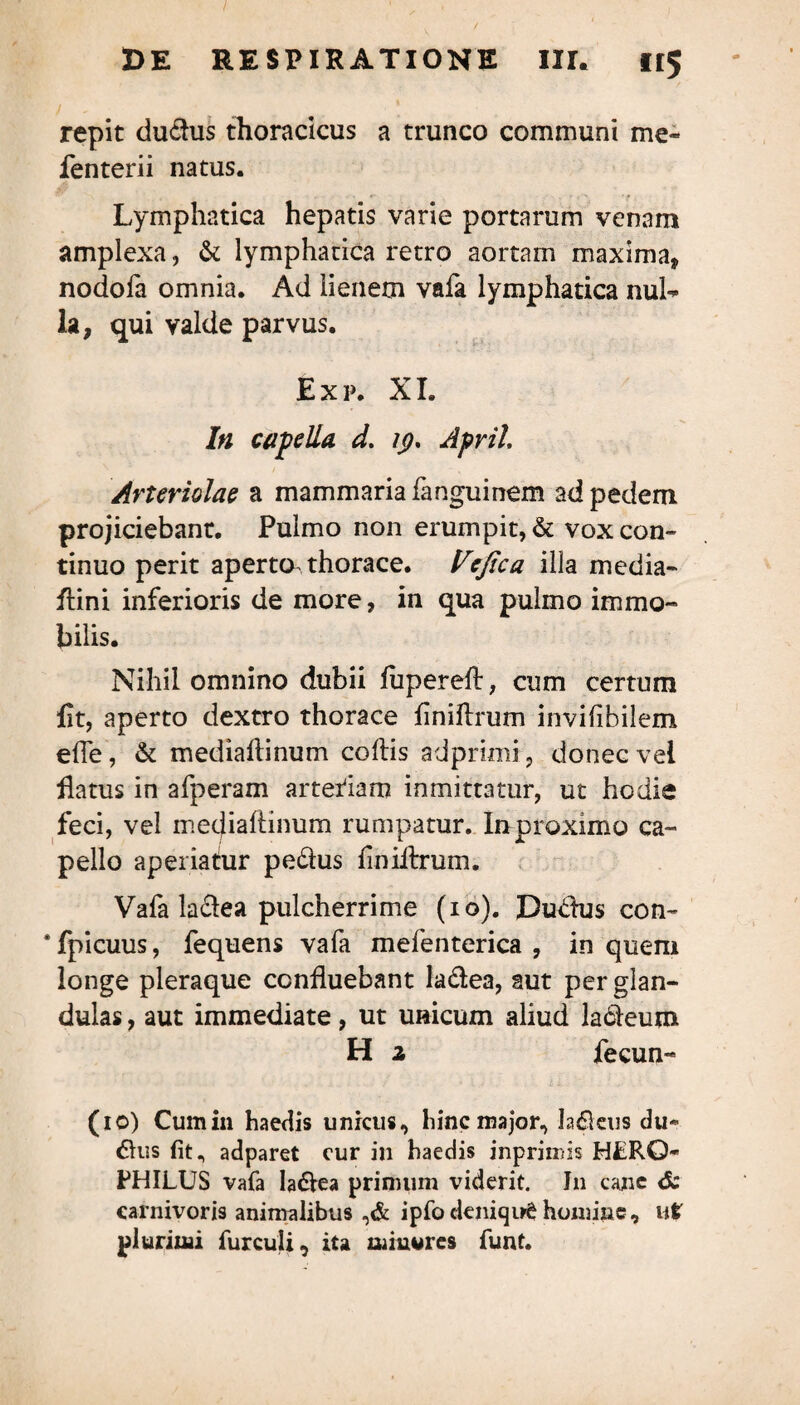/ DE RESPIRATIONE IU. 115 repit dudus thoracicus a trunco communi me- fenterii natus. Lymphatica hepatis varie portarum venam amplexa, & lymphatica retro aortam maxima, nodofa omnia. Ad lienem vafa lymphatica nuL la, qui valde parvus. Exp. XI. In capella d. 19. April. Arteriolae a mammaria fanguinem ad pedem projiciebant. Pulmo non erumpit, & vox con¬ tinuo perit aperto thorace. Vcjica illa media- ftini inferioris de more, in qua pulmo immo¬ bilis. Nihil omnino dubii fupered, cum certum Iit, aperto dextro thorace finiflrum invifibilem ede, & mediadinum codis adprimi, donec vel datus in afperam arteriam inmittatur, ut hodie feci, vel mecjiadinum rumpatur. Inproximo ca¬ pedo aperiatur pedus finidrum. Vafa la&ea pulcherrime (10). Durius con~ ‘fpicuus, fequens vafa mefenterica , in queni longe pleraque ccnduebant ladea, aut per glan¬ dulas , aut immediate, ut unicum aliud lableum H z fecun- (10) Cumin haedis unicus, hinc major. Meus clu¬ dus fit., adparet cur in haedis inprimis HERQ- FHILUS vafa ladea primum viderit. In cane 6c carnivoris animalibus ,& ipfodeniqi^homine, ut plurimi furculi, ita minores funt.