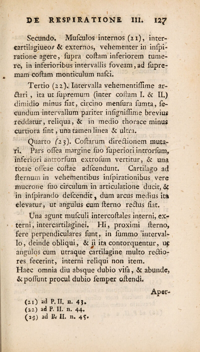 Secundo. Mufculos internos (21), inter- cartilagiueo/ & externos, vehementer in infpi- ratione agere, fupra collam inferiorem tume¬ re, in inferioribus intervallis foveam, ad fuprc- mam collam monticulum nafch Tertio (22). Intervalla vehementiflime ar- £tari , ita ut fupremum (inter collam I. & II.) dimidio minus fiat, circino menlura fumta, fe¬ cundum intervallum pariter inlignillime brevius reddatur, reliqua, & in medio thorace minus curtiora lint, una tamen linea & ultra. Quarto (”23). Coftarum dire&ionem muta¬ ri. Pars odea margine luo fuperiori introrfum, inferiori antrorfum extrofum vertitur, 6t una totae odeae collae adfcendunt. Cartilago ad llernum in vehementibus infpirationibus vere mucrone luo circulum in articulatione ducit, <$c in infpirando defcendit, dum arcus medius ita elevatur, ut angulus cum flerno re&us fiat. Una agunt mufculi intercollales interni, ex¬ terni , intercartilaginei. Hi, proximi llerno, fere perpendiculares funt, in fummo 'interval¬ lo, deinde obliqui, & ji ita contorquentur, u£ angulos cum utraque cartilagine multo re&io- res fecerint, interni reliqui non item. Haec omnia diu absque dubio vifa, & abunde, &pofiunt procul dubio femper oilendi. Aper¬ io ad P. II. n. 4$* (22) ad P. II. n. 44. (2-3) ad P» II. n.