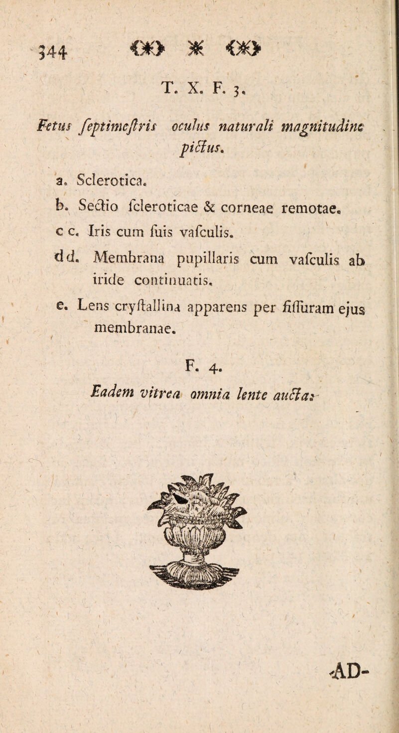 544 €fc> * €K> 3, Sclerotico. b. SecHo fcleroticae & corneae remotae, c c, Iris cum fuis vafculis. dd. Membrana pupillaris cum vafculis ab iride continuatis, e. Lens cryftaUina apparens per f. (furam ejus membranae. F. 4. Eadem vitrea omnia lente ancla: -AD-