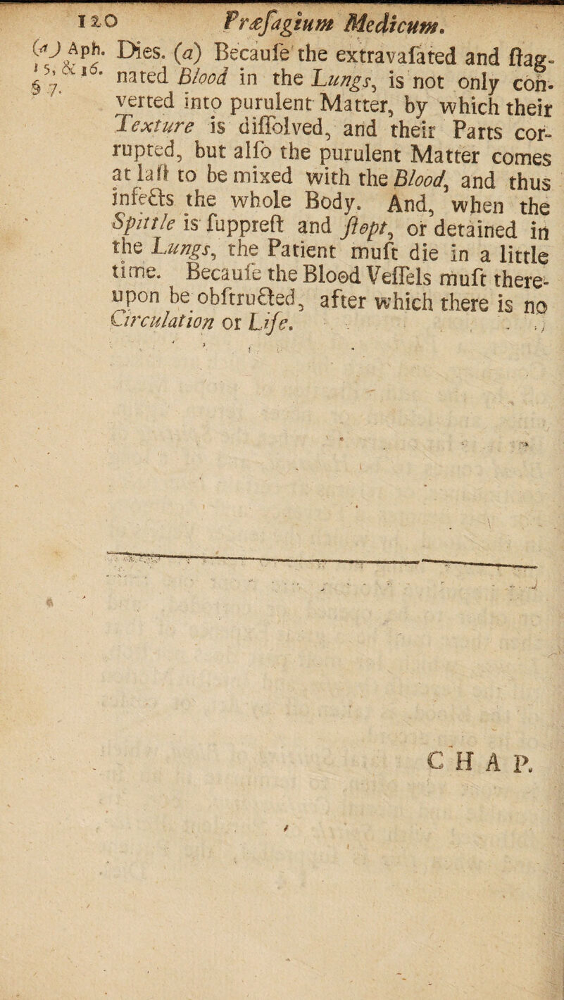 (/j APh. Dies, (a) Becaufe the extravafated and Bag- § 1 nated Blood in the Lungs, is not only con¬ verted into purulent Matter, by which their Texture is diffolved, and their Parts cor¬ rupted, but alio the purulent Matter comes atlafi to be mixed with the Blood, and thus infe&s the whole Body. And, when the Spittle is fuppreft and Jhpt, or detained in the Lungs, the Patient mult die in a little time. Becaufe the Blood Veflels muft there¬ upon beobftruQed, after which there is no C irculation or Life. . , \ C H A p.
