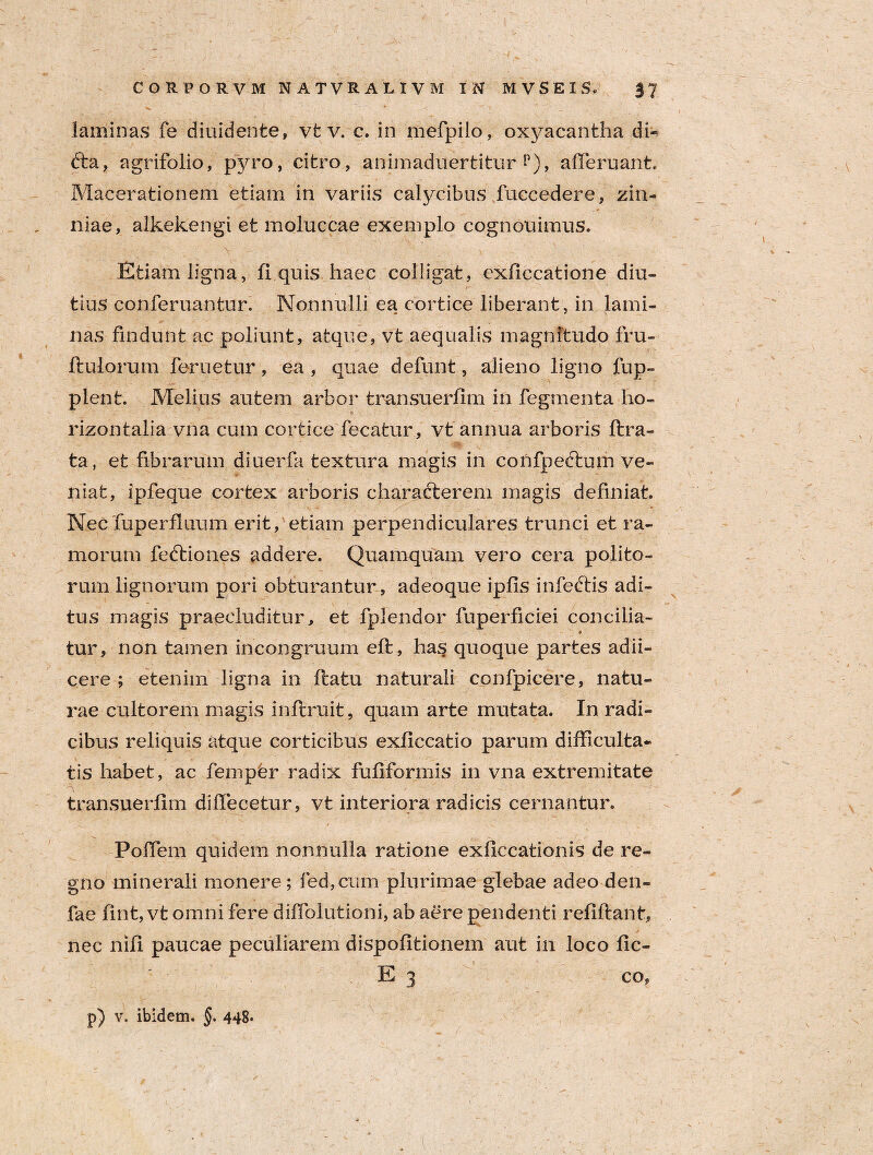 laminas fe diuidente, vt v. c. in mefpilo, oxyacantha di- &a, agrifolio, pyro, citro, animaduertitur p), afieruant. Macerationem etiam in variis calycibus fuccedere, zin- niae, alkekengi et moluccae exemplo cognouimus. Etiam ligna, fi quis haec colligat, exficcatione diu¬ tius conferuantur. Nonnulli ea cortice liberant, in lami¬ nas findunt ac poliunt, atque, vt aequalis magnitudo fru- ftulorum feruetur, ea , quae defunt, alieno ligno fup- plent. Melius autem arbor transuerfim in fegmenta ho¬ rizontalia vna cum cortice fecatur , vt annua arboris flra- ta, et fibrarum diuerfa textura magis in confpedtum ve¬ niat, ipfeque cortex arboris characterem magis definiat. Necfuperfluum erit, etiam perpendiculares trunci et ra¬ morum fedtiones addere. Quamquam vero cera polito¬ rum lignorum pori obturantur, adeoque ipfis infeftis adi¬ tus magis praecluditur, et fplendor fuperficiei concilia- * tur, non tamen incongruum eft, has quoque partes adii- cere ; etenim ligna in flatu naturali confpicere, natu¬ rae cultorem magis inftruit, quam arte mutata. In radi¬ cibus reliquis atque corticibus exficcatio parum difficulta¬ tis habet, ac femper radix fufiformis in vna extremitate transuerfim diffiecetur, vt interiora radicis cernantur. Poffem quidem nonnulla ratione exiiccationis de re¬ gno minerali monere; fed,cum plurimae glebae adeo den- fae fint, vt omni fere diffolutioni, ab aere pendenti refiflant, nec nifi paucae peculiarem dispofitionem aut in loco fic- E 3 co, p) v, ibidem. §. 448.