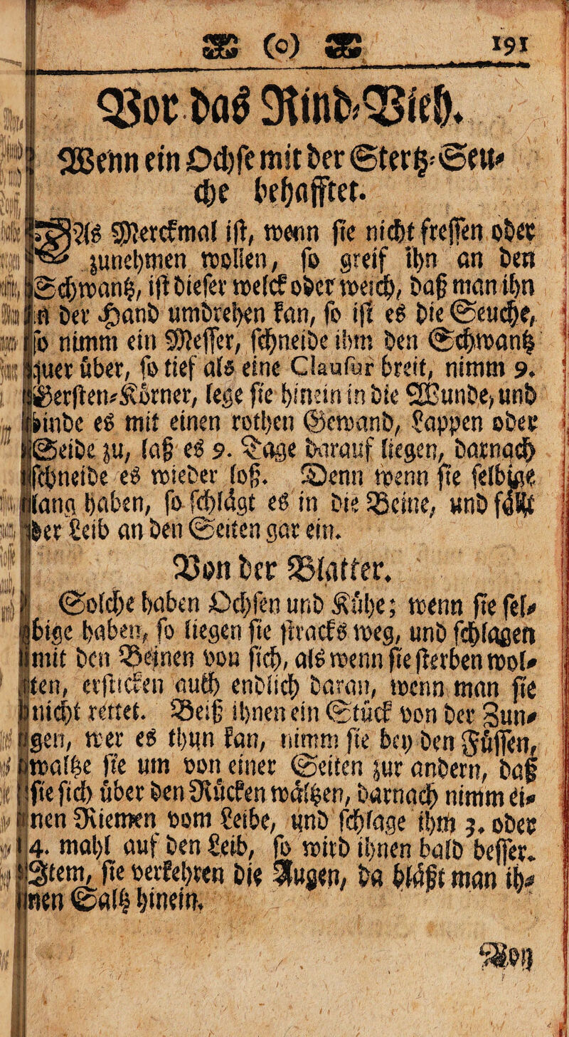 SB C^) SB ^91 u • ?8or 9litifc<^fc&. m r;r 5S3enn ein Dcfefe mit ber ©ter^.-SfU«' 4)e kbaftet. 21^ i|t, jtc ni^t frcjfen ob«? june^wcn ttJolUn, fo greif il)n an im gd&n>an^, ijtöiefevweicfo&cfwcrd^, ^af niönit)n in Dev ^anJ) umbrefKn fan, fo i|1 e^ bie @euc|e, fo nimm ein 59Jeffer, f(^neiöc iltm ben .-juet öber, fo tief ais eine Claufur breit, nimm 9. 0erften?^brner, fege pe bindn in bie ® unbe> unb ^inbc eß mit einen rotben ©croanb, üappen obee @eibe ju, (a§ e^ 9. ^t^e twrauf liegen, bötnqc& febneibc e^ toieber fo§. S5enn menn fte felbto« Jang haben, fo.fd)(^gt eö in bieSBeinc, unbfW «|bct £eib an ben ©eiten gar ein. ^»n bcf S3!atfer. ©ofdbe haben Ocbrenur.bÄi'ibc; menn fiefef« bige haben, fo fiegen fie jiracfö meg, unb fchioßeti mit ben bon |ieh, alö wenn fte flerbenroof# |ten, eiiltcfen auth enbiich baran, wenn man fte ll|ni($t rettet. SScijj ihnen ein ©tücf bon ber Sun# Sgen, wer e6 thnn fon, nimm fte bei; ben gfiffen, si fjwafhe fie um oon einer ©eiten jur anbetn, bap !it |‘ fte fich Aber ben Ütucfen wdihcn, barnadh nimm d# s» (inen 3tiemen bom Setbc, gnb fchfage thtfj 5. obe» ..14. mohf auf ben £eib, fo wirb ihnen balb befer. »Stetm fie tterfehren bj« b« b{4ftman ih# f tim ©ölHtnem. i f
