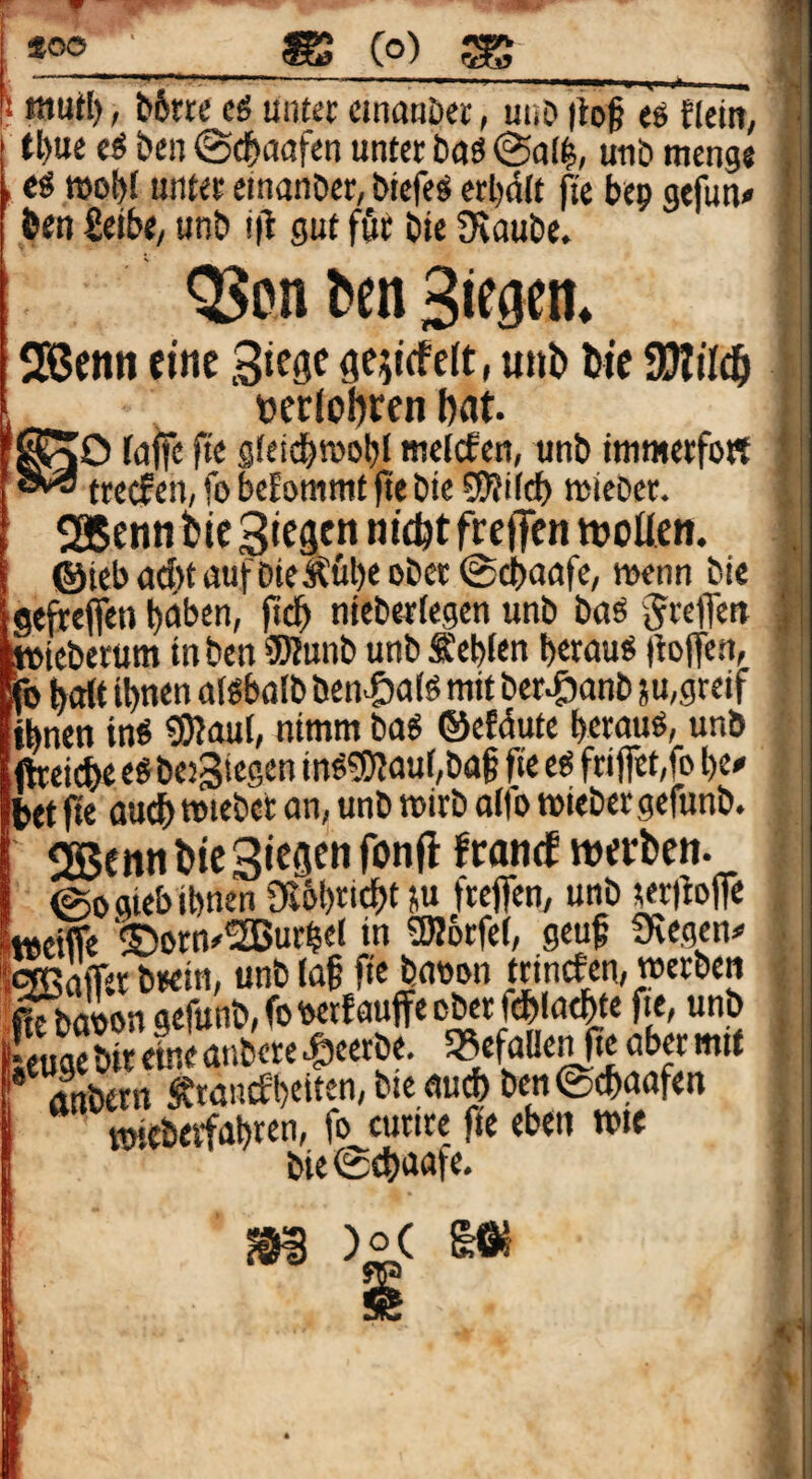 QJonbenSiwn. 2Bcnn eine 3if9f flfy’rfelt* unt) hie SEJIiIcö »erlobren l)at. f^O f(jjfc fii sfeid^n)o|)l mclcfen, «nb immwfo« tre(f cn, fo bcEommt )te öte 5!)?ild) »icDer. Säeitti bie Siesen frefTen woüen. ®ieb<id>taufDieÄüt)eoDct@d)aörc/ wenn bie gefreifen i)abcn, fid^ niebetlegen unb baö Jreffett »ieberum in ben ®?unb unb üebien betau« lloiTen, fo ba(t ihnen afgbalb ben^)a(« mit ber^anb ju,greif ihnen in« ?Waub nimm ba« ®efdute betau«, unö (ftreicbe egbetgiegen in«?S)Eaur,ba§ fte e« frifet,fo bee bet fte au^ toiebct an, unb wirb alfo wiebet gefunb. 2Bennbic Siegen fonjl frantf werben. ©ogiebibnen Dlbbticbt J» ftejfen, unb teriioflTe Mseifle ‘©orn^^urbei in SHorfei, geuf fKegen# IcjBaffet btein, unb laf fte baoon ttincEen/werben ^baoon gefunb, fooetfauffe ober ftiblaebte fte, unb feuge bit eine anbete |)eetbe, f« aber mit aWn ^taucEbeittn, bte au* ben@*aafen toiebetfabren, fo curtte fie eben wie bie @£baafe. )o( m i tnut!), b6rte e« unter einanöet, unb itof e« fleiit, ' tbue c« ben @cbaafen unter ba« @aii unb menge c« wobi unter einanber, biefe« erbdit fie bep gejun# ben £etbe, unb i(l gut fßt bie 9>iaube. 4 <'