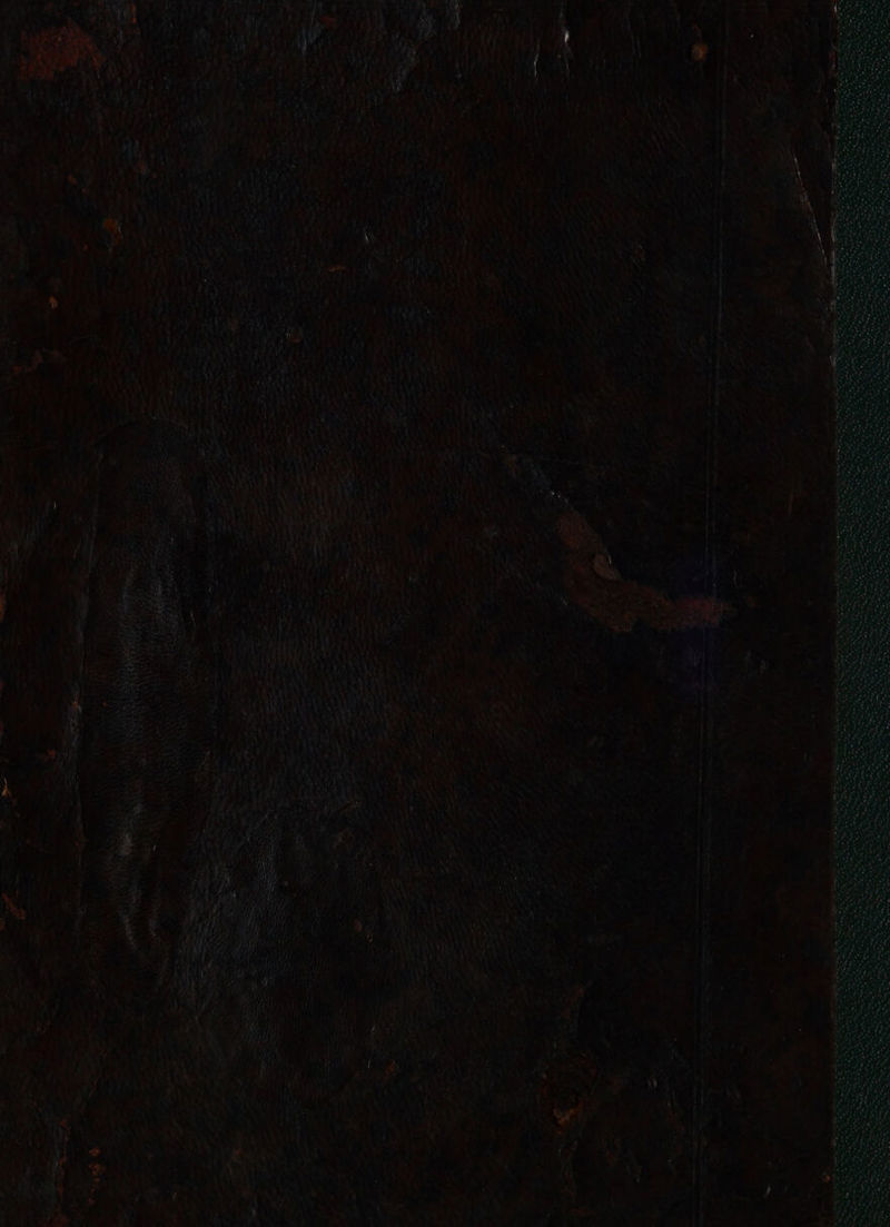 ‘ « Po 4 ‘3 6 te gl Went t Pony hale + ' ie eRe Me HN % BF roe ka om ve