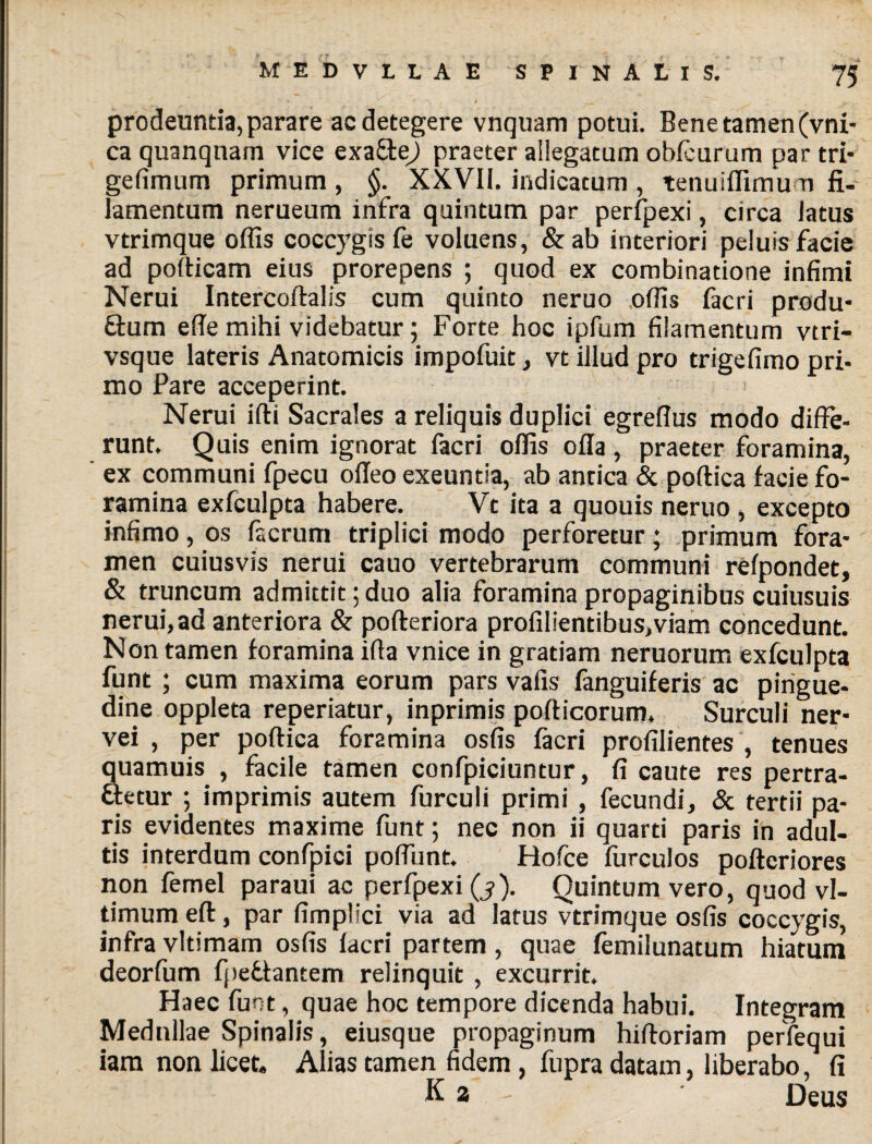 MEDVLLAE SPINALIS. prodeunda, parare ac detegere vnquam potui. Bene tamen (vni- ca quanqnam vice exa&e) praeter allegatum obfeurum par tri- gefimum primum , §. XXVII. indicatum , tenuiflimum fi- lamentum nerueum infra quintum par perfpexi, circa latus vtrimque offis coccygis fe voluens, &ab interiori peluis facie ad pofticam eius prorepens ; quod ex combinadone infimi Nerui Intercoftalis cum quinto neruo offis facri produ- hum efie mihi videbatur; Forte hoc ipfum filamentum vtri- vsque lateris Anatomicis impofuit, vt illud pro trigefimo pri¬ mo Pare acceperint. Nerui ifti Sacrales a reliquis duplici egreflus modo diffe¬ runt. Quis enim ignorat facri offis olla, praeter foramina, ex communi fpecu ofleo exeuntia, ab antica & poftica facie fo¬ ramina exfculpta habere. Vt ita a quouis neruo , excepto infimo, os facrum triplici modo perforetur; primum fora¬ men cuiusvis nerui cauo vertebrarum communi refpondet, & truncum admittit; duo alia foramina propaginibus cuiusuis nerui, ad anteriora & pofteriora profilientibus,viam concedunt. Non tamen foramina ifta vnice in gratiam neruorum exfculpta funt ; cum maxima eorum pars vafis fanguiferis ac pingue¬ dine oppleta reperiatur, inprimis pofticorum. Surculi ner- vei , per poftica foramina osfis facri profilientes , tenues quamuis , facile tamen confpiciuntur, fi caute res pertra¬ hetur ; imprimis autem furculi primi , fecundi, & tertii pa¬ ris evidentes maxime funt; nec non ii quarti paris in adul¬ tis interdum confpici poffiint. Hofce furculos poftcriores non femel paraui ac perfpexi (j). Quintum vero, quod vl- timum eft, par fimplici via ad latus vtrimque osfis coccygis, infravltimam osfis lacri partem, quae femilunatum hiatum deorfum fpehantem relinquit , excurrit. Haec funt, quae hoc tempore dicenda habui. Integram Medullae Spinalis, eiusque propaginum hiftoriam perfequi iam non licet. Alias tamen fidem , fupra datam, liberabo, fi K a - Deus