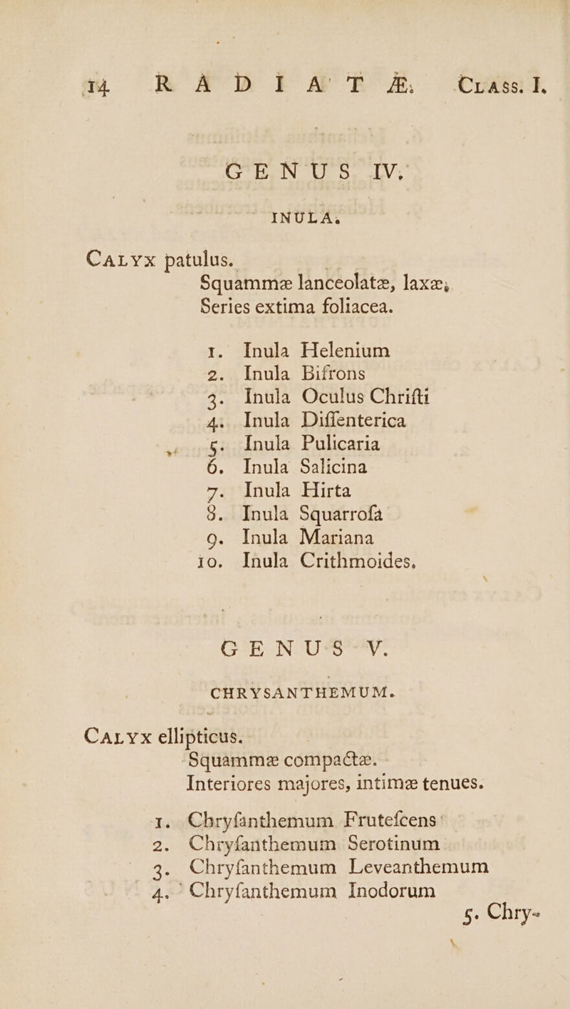qi .R A D1SNAMI'TE E Coss G'ENUS..IV; cANULAs: CaALYx patulus. | Squammee lanceolate, lax; Series extima foliacea. Inula Helenium Inula Bifrons Inula Oculus Chrifti Inula Diffenterica Ínula Pulicaria Inula Salicina Inula Hirta Inula Squarrofa Inula Mariana Inula Crithmoides, C D Su Ou RON n bez DOE NOUS. CHRYSANTHEMUM. Carvx ellipticus. -Squamma compacte. Interiores majores, intime tenues. Chryfanthemum Frutefcens: Chryfanthemum Serotinum Chryfanthemum Leveanthemum ' Chryfanthemum Inodorum £43 MN Usu 5. Chry- ^.