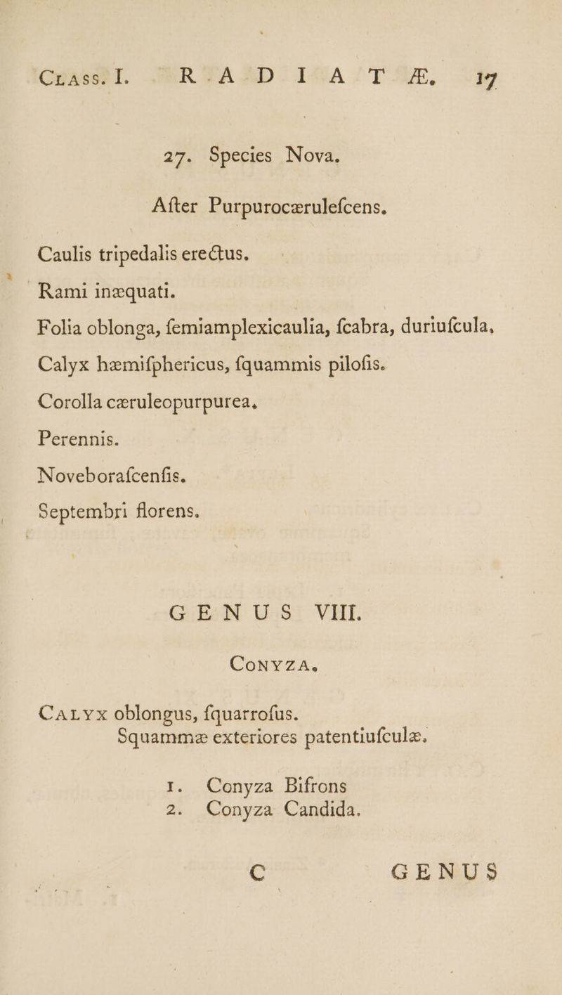 CHAM. JERTYAAD'IGA/T UE, 27. Species Nova. After Purpuroczrulefcens. Caulis tripedalis erectus. Rami inzquati. Folia oblonga, femiamplexicaulia, fcabra, duriufcula, Calyx hzmifphericus, fquammis pilofis. Corolla czruleopurpurea, Perennis. Noveborafcenfis. Septembri florens. GENUS VIII. CoNYZA. CaArvx oblongus, fquarrofus. Squamms exteriores patentiufcula. I. Conyza Bifrons 2. Conyza Candida.