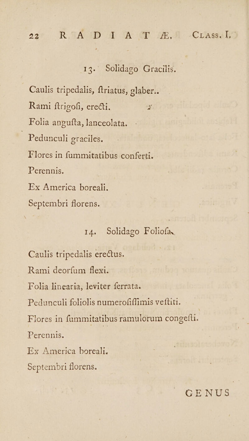 13. Solidago Gracilis. Caulis tripedalis, ftriatus, glaber.. Rami ftrigofi, erecti. at Folia angufta, lanceolata. Pedunculi graciles. Flores in fummitatibus conferti. Perennis. Ex America boreali. Septembri florens. 14. Solidago Foliofa. Caulis tripedalis erectus. Rami deorfum flexi. Folia linearia, leviter ferrata. Pedunculi foliolis numerofiffimis veftiti. Flores in fummitatibus ramulorum congefü. Perennis. Ex America boreali. Septembri florens.